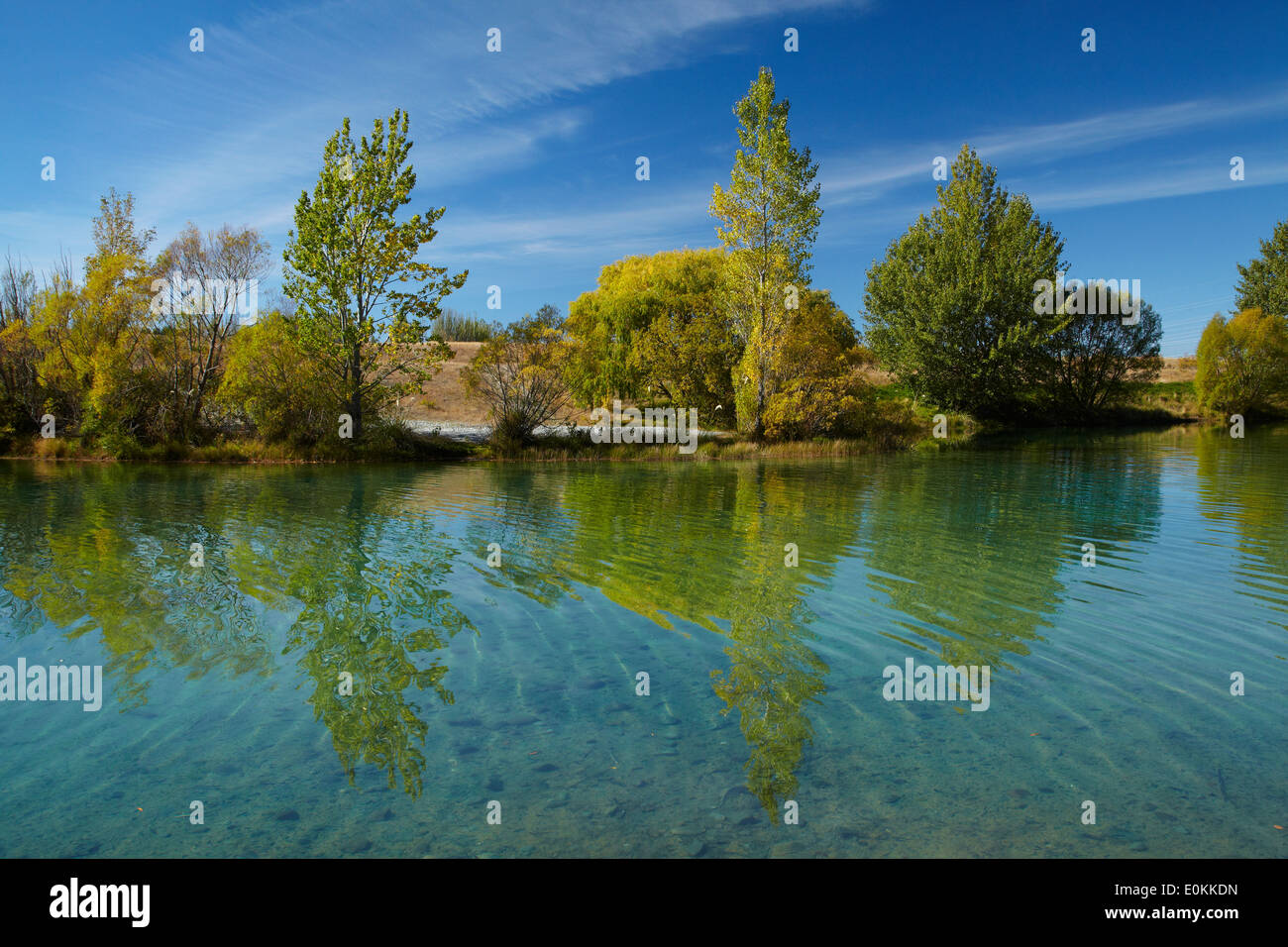 Ohau River à l'automne, près de Twizel, Mackenzie Country, île du Sud, Nouvelle-Zélande Banque D'Images