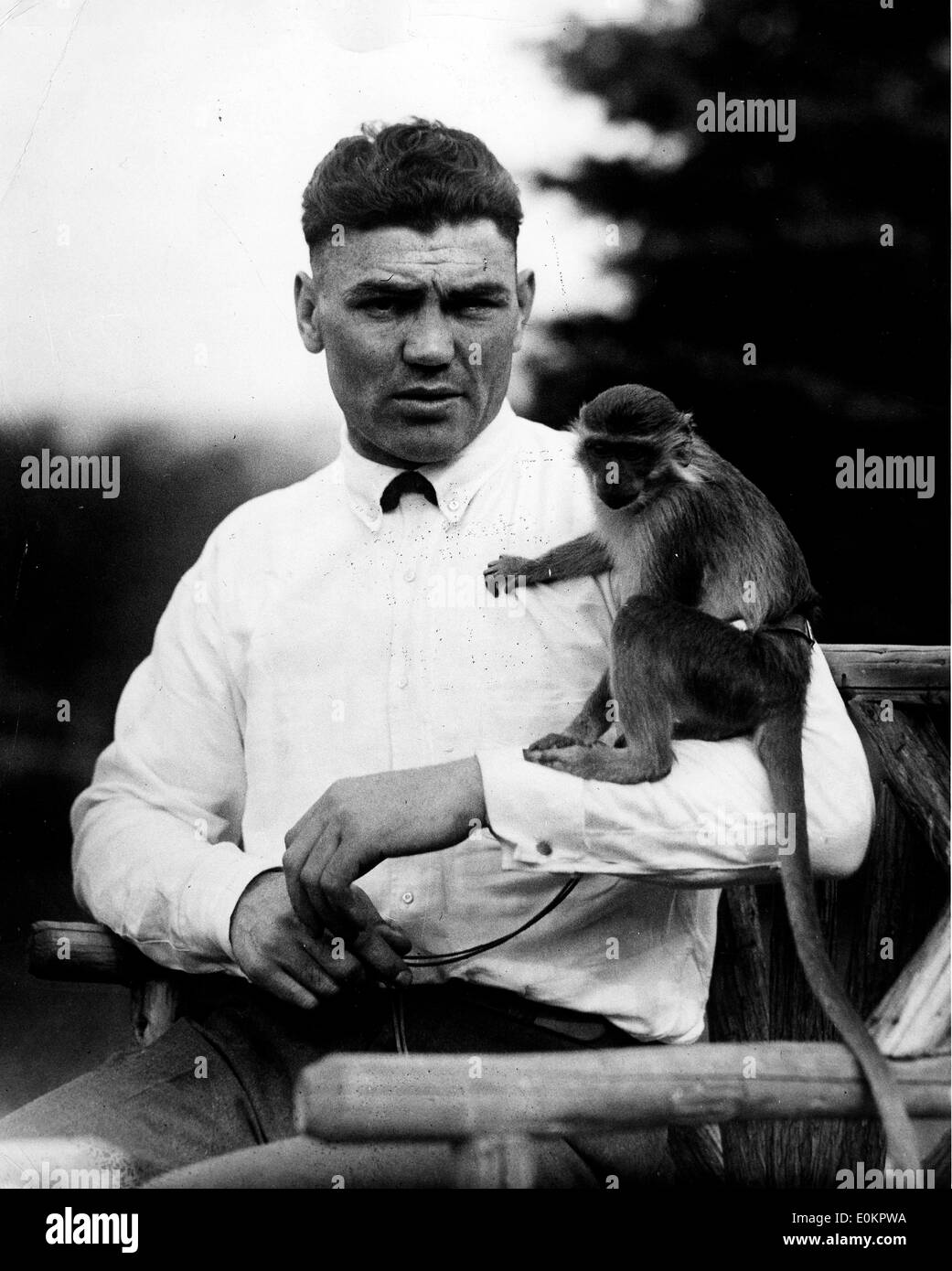 Boxeur Jack Dempsey avec un singe Banque D'Images