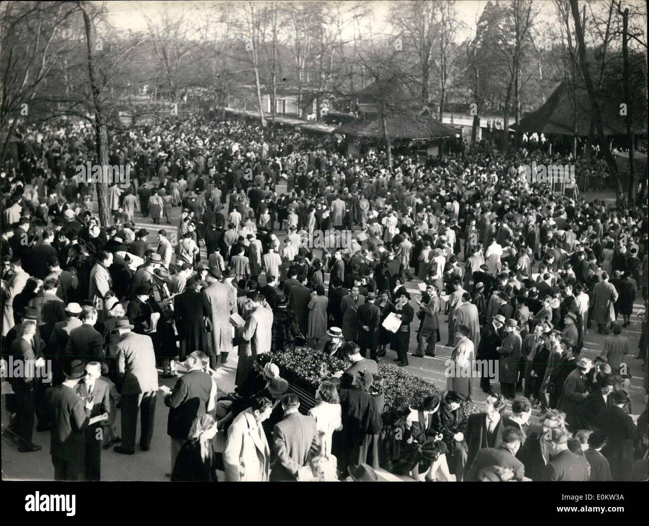 19 février 1950 - Première réunion d'Auteuil à 8 Pesage Banque D'Images