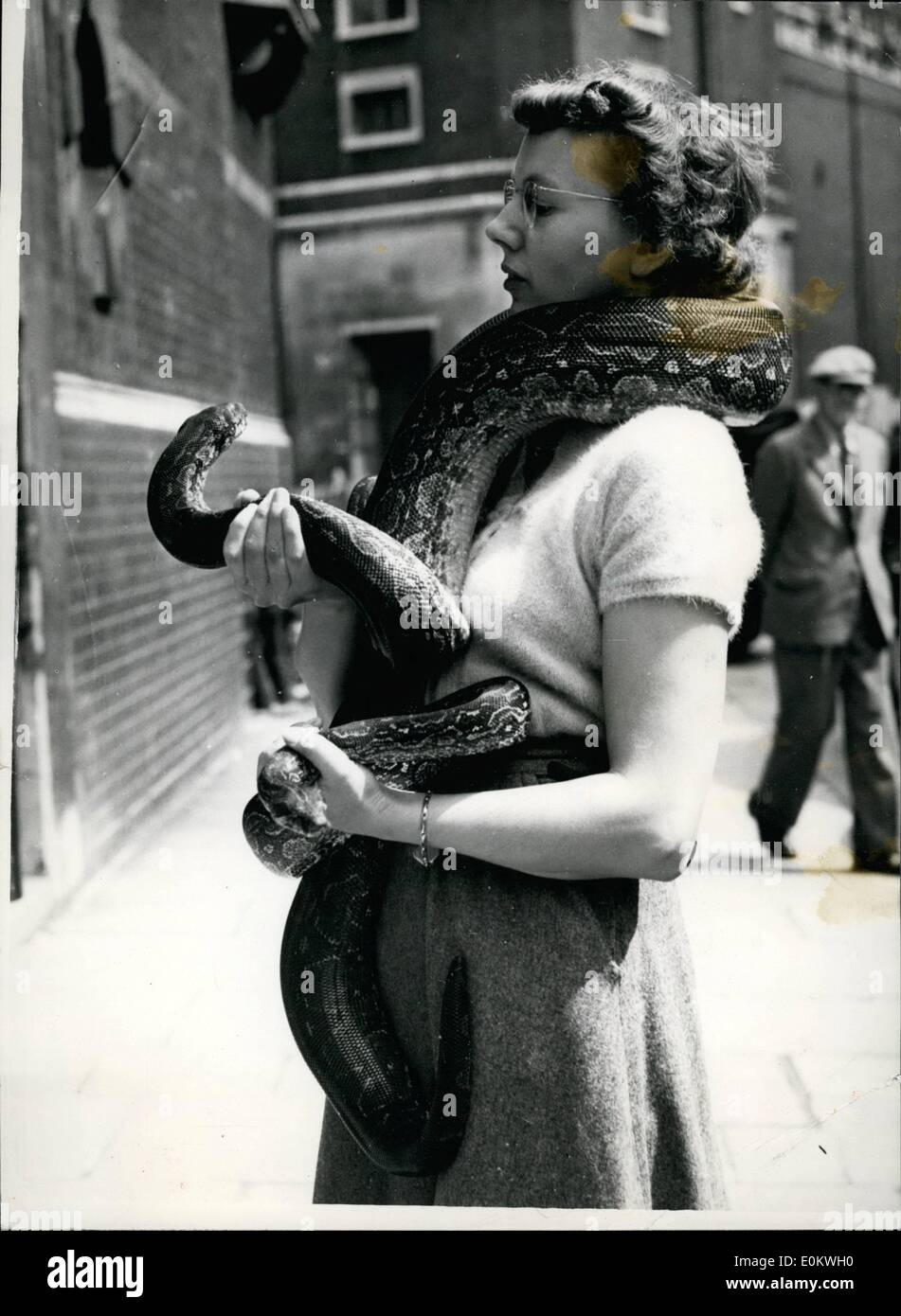 Juin 06, 1950 - Ouverture de l'aquarium national exposition au Royal Horticultural hall. Londres. La société aquariophiles nationale, fondée en 1945, présente son troisième National Aquarium Exposition au Royal Horticultural Hall, Londres. L'exposition se déroulera pendant trois jours. Sur la photo, Mme Mary Bulaer, d'un club du sud de Londres, arrivant à la Royal Horticultural hall avec deux pythons boa de l'ouest. Banque D'Images