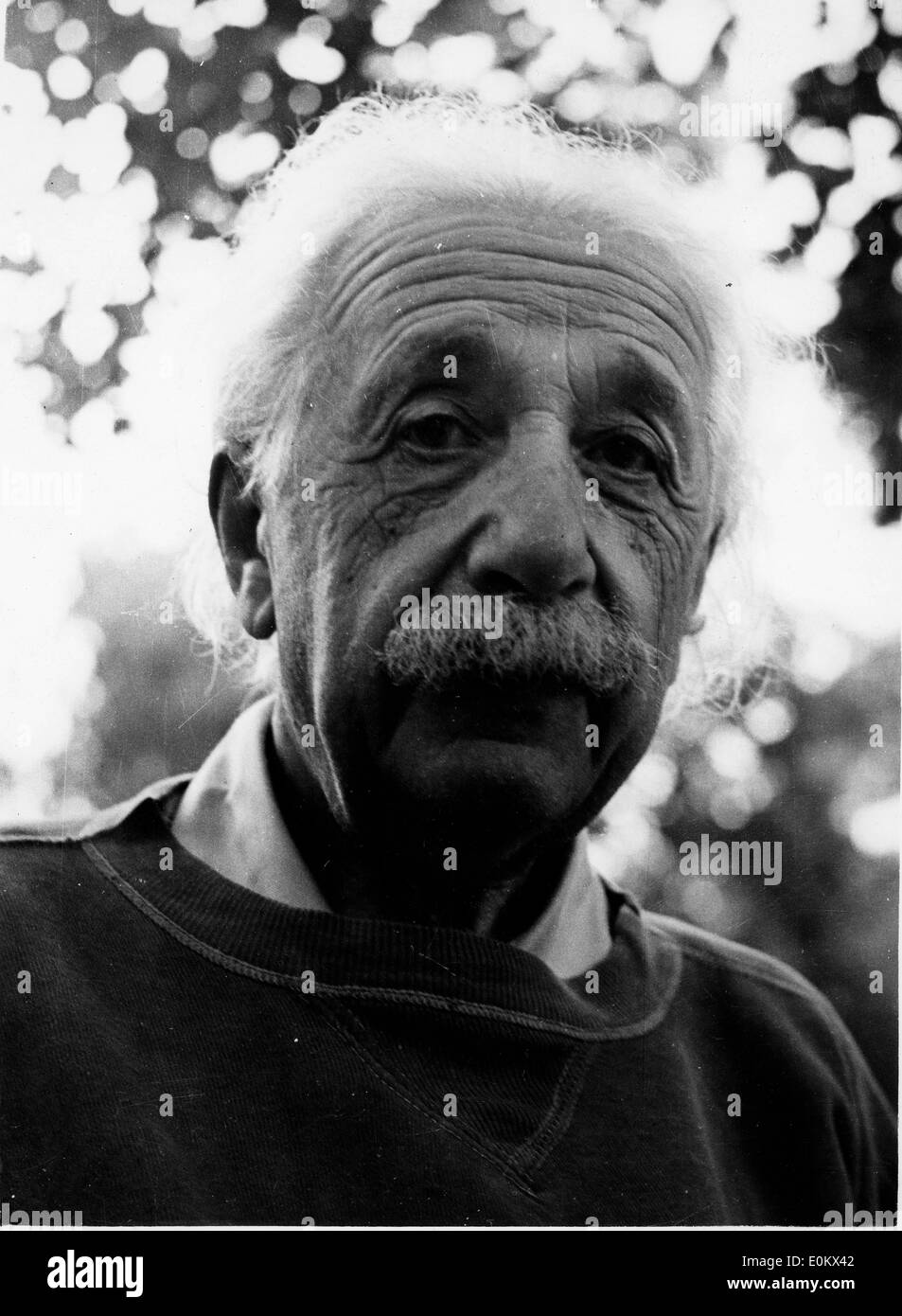 Le professeur Albert Einstein Banque D'Images