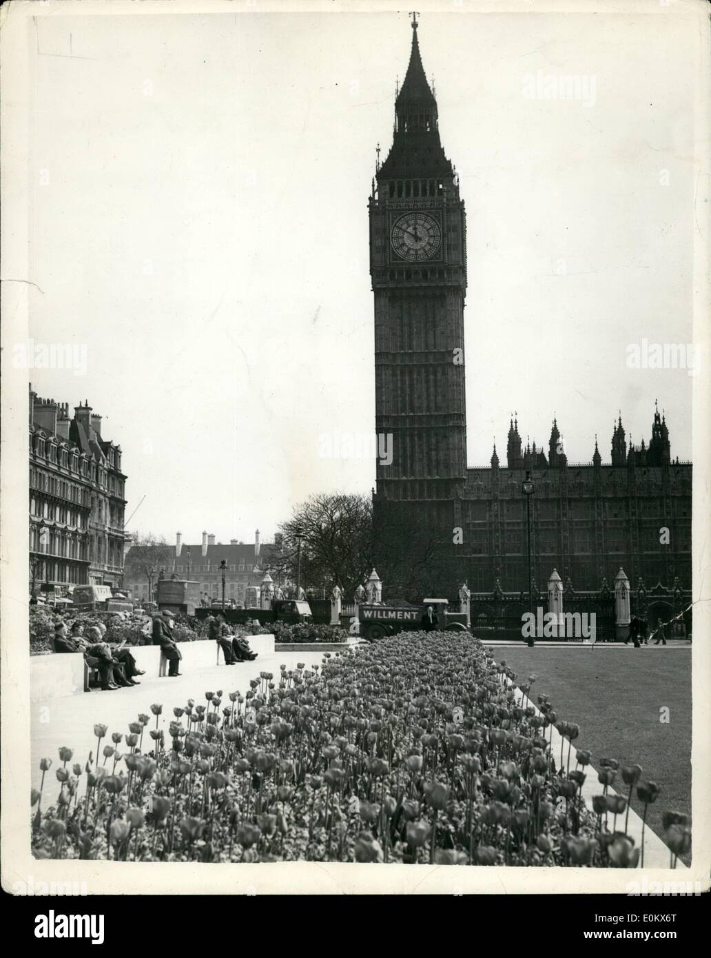 Avril 04, 1952 - Big Ben" est un tapis de fleurs. Le printemps est bien illustré avec cette photo - d'un ''tapis'' de tulipes qui semble mener directement à Big Ban - à la place du Parlement aujourd'hui. Banque D'Images