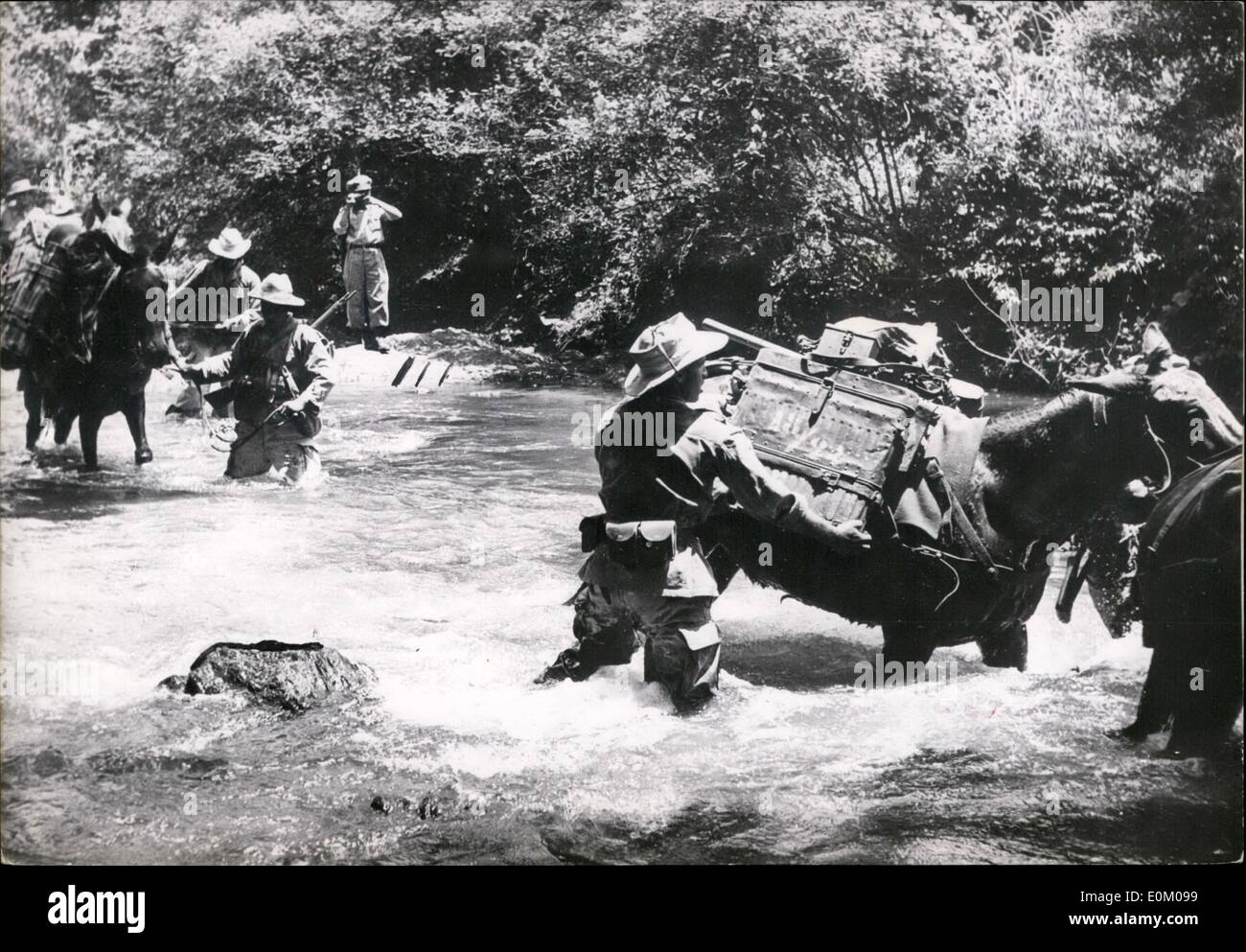 01 janvier 1953 - Guerre En Indo Chine : un Vietnam Mule Corps traversant une rivière dans la région où de violents combats Ankeh a été rapporté récemment. Banque D'Images