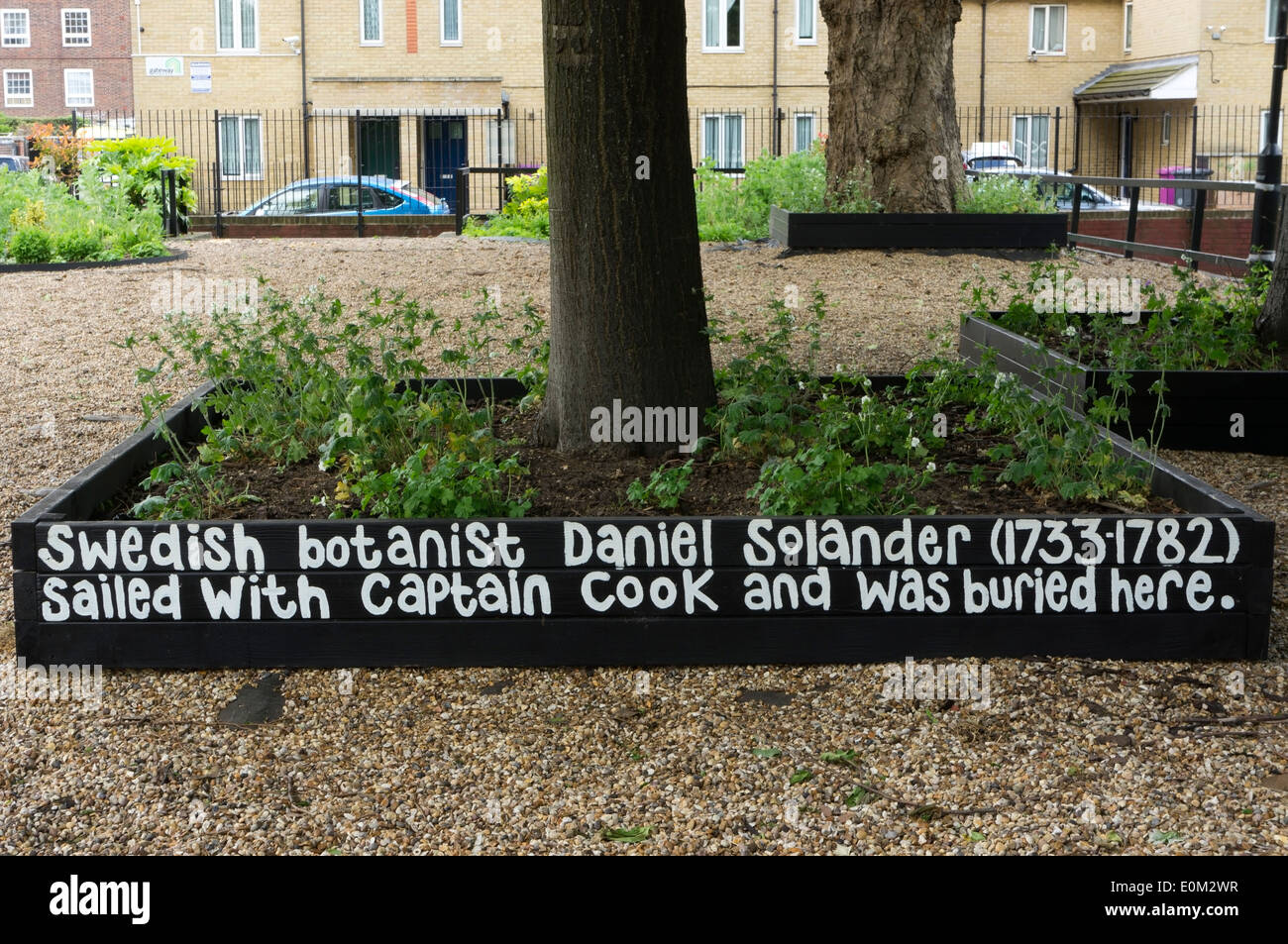 Un mémorial à Daniel Solander sur le site de l'Église suédoise cimetière de l'Est de Londres où il a été enterré. Banque D'Images