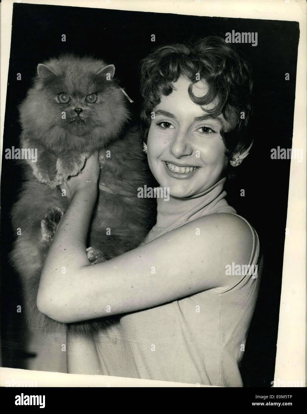 Septembre 07 1953 Audition Pour Chats London Theatre Une Audition A Eu Lieu Au Phoenix Theatre Londres Ce Matin Pour Trouver Un Chat Une Autre De