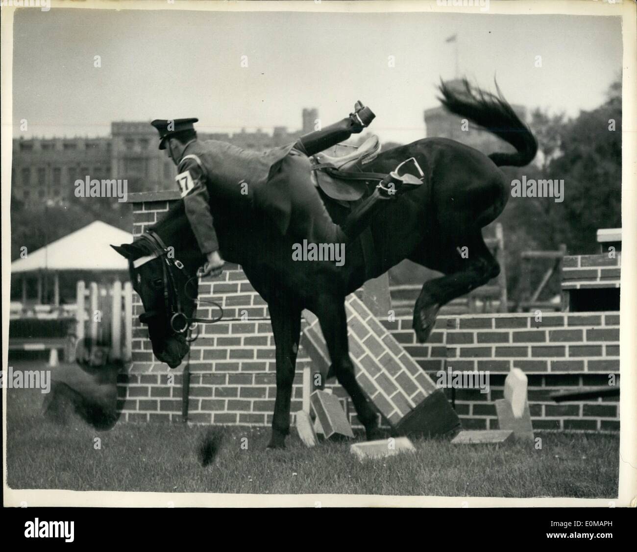 Mai 05, 1954 - Royal Windsor Horse Show. Le cheval qui est tombé à l'aller. Montre Photo : Cpl. Truslove de la Household Cavalry - Banque D'Images