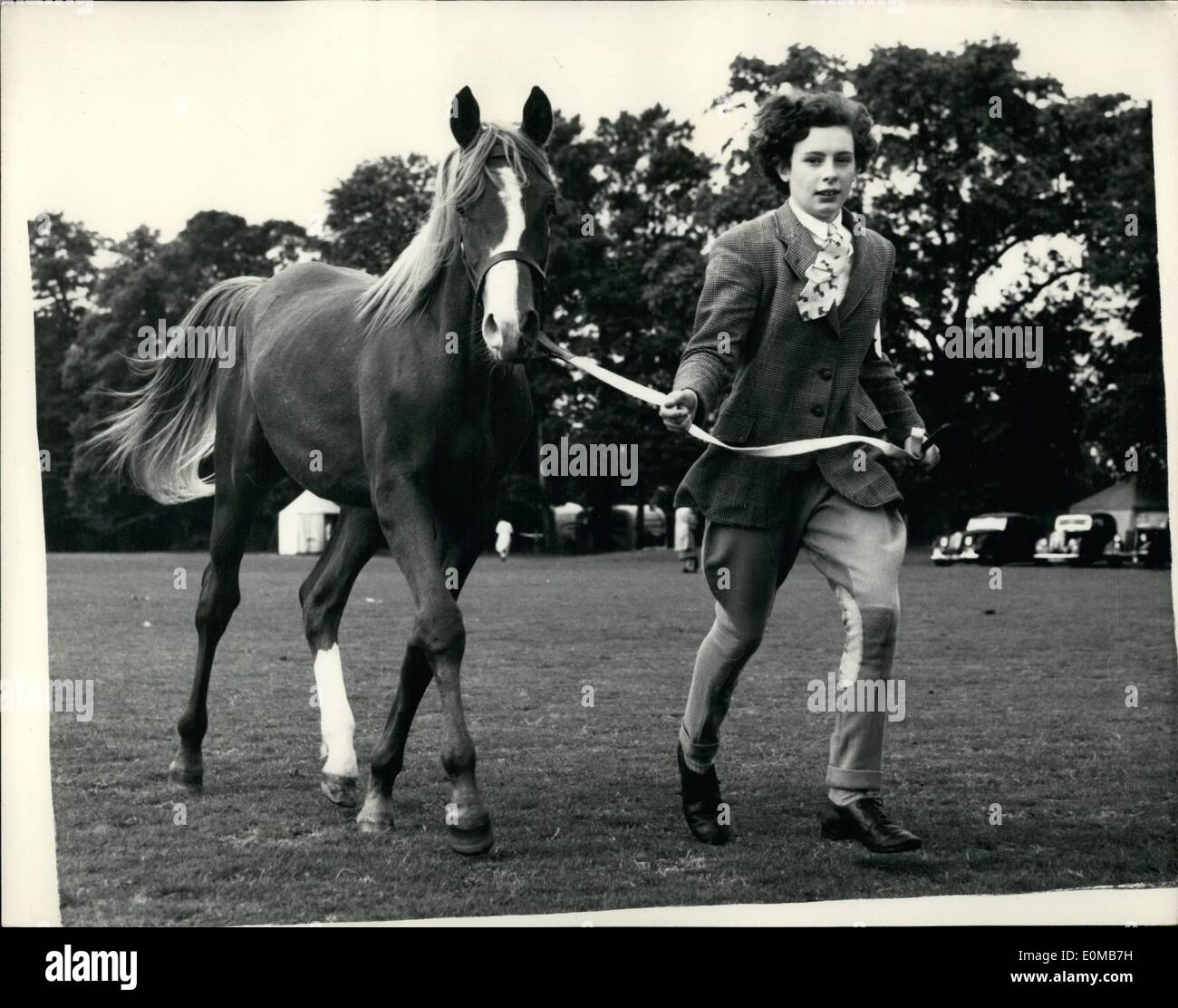Juillet 07, 1954 - Deux spectacles du Club : les visiteurs à Roehampton Roehampton Club, Putney, aujourd'hui, avait deux spectacles - une pour les chiens et un pour les chevaux. Un All-Saluki fut le premier dog show qui aura lieu dans ce pays depuis près de trente ans - c'est organisé par le Saluki Gazelle ou Hound Club. L'autre dispose de 200 chevaux arabes et est exécuté par le Cheval Arabe de la société. Photo montre Ann, Mounsey-Weysham de Carlisle, vu avec son cheval ''Sombre souveraine, un an. Banque D'Images