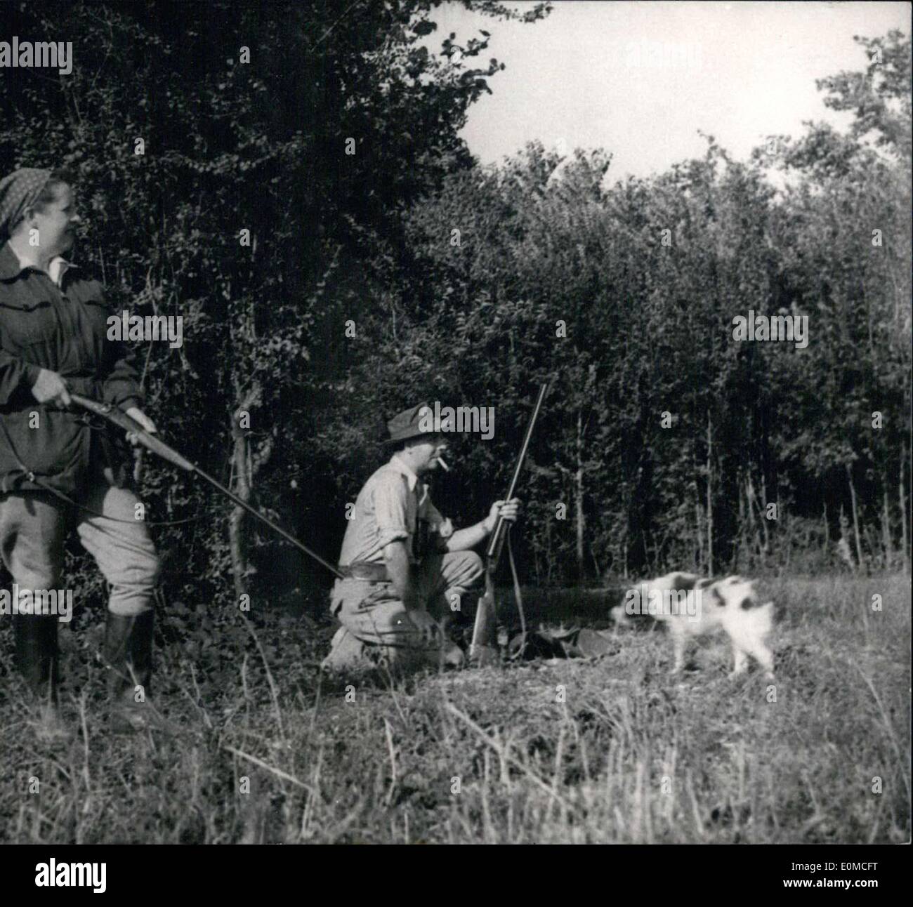 23 août 1954 - M. Gibier & ami de la chasse avec leurs chiens de l'expédition Banque D'Images