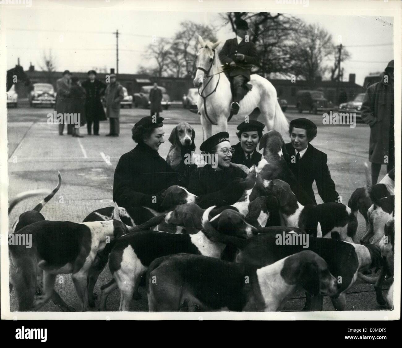 Septembre 09, 1954 - 9.12.54 rencontrez à l'instruction de la Marine. Le Rencontrez des Bramham Moor Hunt, a eu lieu au cours d'entraînement naval quarts, H.M.S. Ceres, à Wetherby, Yorks. Photo montre : W.R.N.S. se faire des amis avec les chiens à la rencontrer sur la plage arrière d'hier. H/Keystone photo partielle Banque D'Images