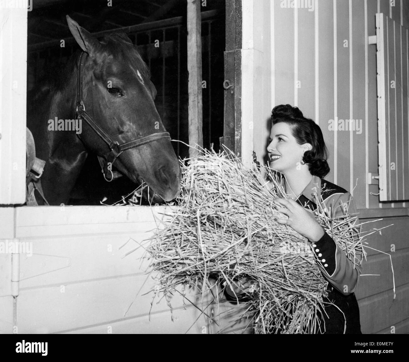 Jane Russell nourrir un cheval Banque D'Images