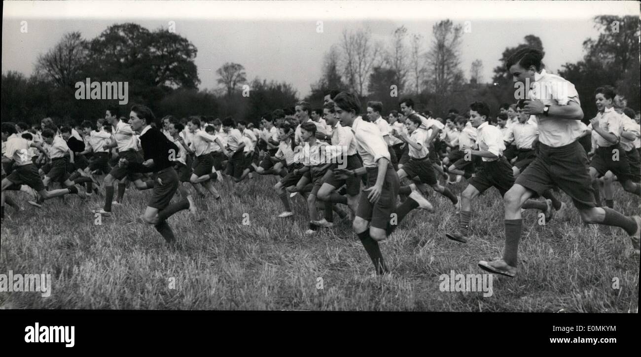 10 octobre 1955 - Course d'Eton annuel Événements... L'Eton College annuel événements Steeplechase ont eu lieu cet après-midi. Photo : Keystone montre le début de l'événement Junior Grand Steeple à Eton cet après-midi... Le Prince Michael de Kent est arrivé quatrième dans ce. Banque D'Images