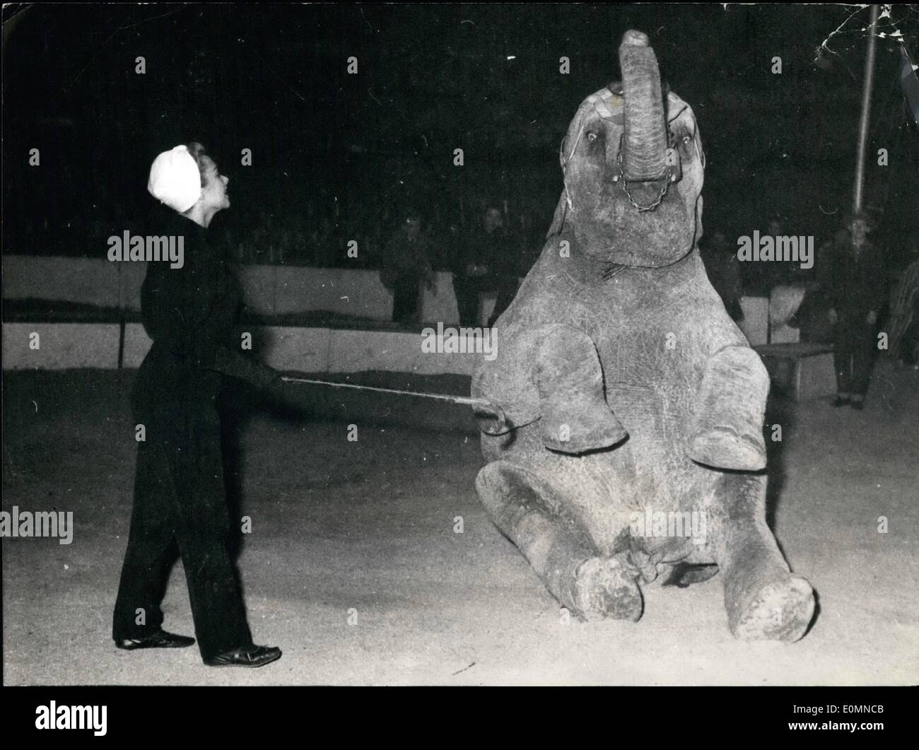 01 janv., 1956 - Martine Carol en commençant que l'éléphant fille. : Dans l'aperçu d'un gigantesque gala qui se tiendra à Bruxelles, de nombreux artistes parisiens étaient en répétition hier leurs actes dans le Velodroml D'Hiver à Paris. La photo montre la belle actrice de cinéma Martine Carol présentant ses éléphants. Banque D'Images