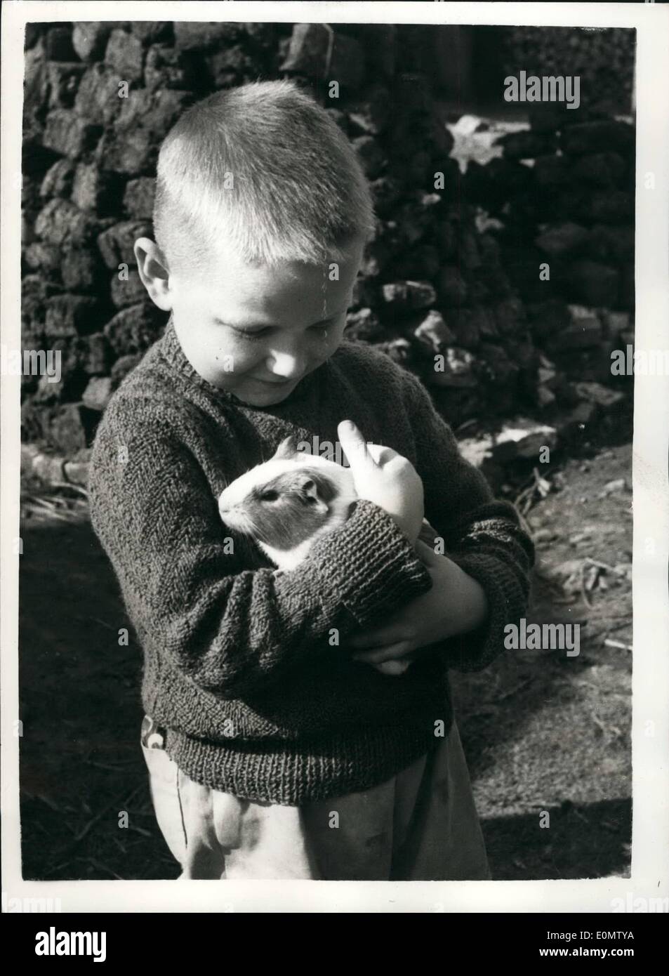 Septembre 09, 1956 - La tragédie d'une famille : après dix ans de l'Peade Lochovkis sont encore ''D-PE'' et sont sans Hop pour de futures : typique de nombreuses familles vivant stiklll iun des camps de l'Allemagne de l'Ouest - nouveau vivre dans la charité de l'Allemagne depuis l'URO (Organisation des Nations Unies pour les réfugiés) de l'Organisation remis - sont les Lochovskis. Zonana était un travailleur inb une ferme allemande ayant été envoyé à partir de la Russie. Czeslaw, son mari, était un folish infirmier qui ont subi le même sort. Quelques jours après avoir ''libération'' ils se sont mariés, et maintenant il y a deux enfants Banque D'Images