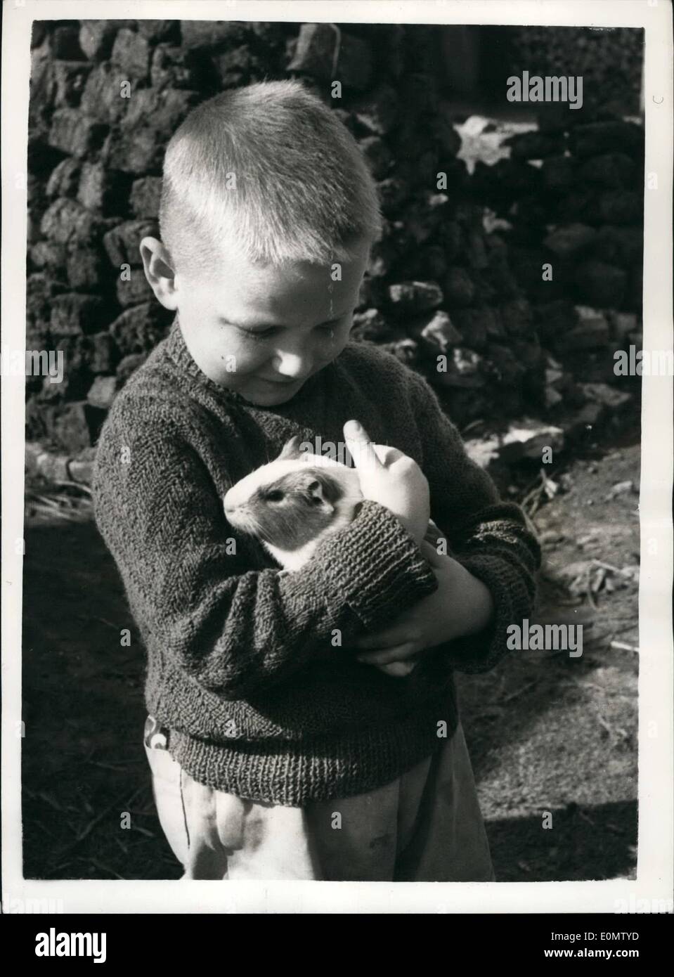 Septembre 09, 1956 - La tragédie d'une famille : après dix ans de paix Le Lochovkis sont encore ''D-Ps'' et sont sans Hop pour de futures : typique de beaucoup de familles vivent encore dans des camps de réfugiés de l'Allemagne de l'Ouest - nouveau vivre dans la charité de l'Allemagne depuis l'URO (Organisation des Nations Unies pour les réfugiés) de l'Organisation remis - sont les Lochovskis. Zenana était un travailleur dans une ferme allemande ayant été envoyé à partir de la Russie. Czeslaw, son mari, était un infirmier qui ont subi le même sort. Quelques jours après avoir ''libération'' ils se sont mariés, et maintenant il y a deux enfants Banque D'Images
