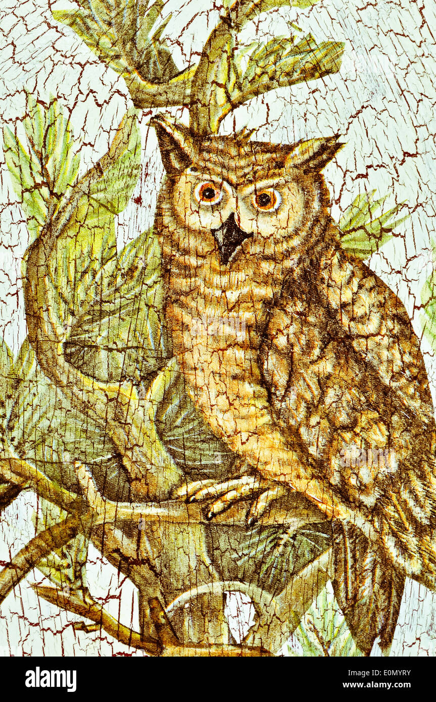 Grésillement des vieux dessin d'un hibou posé sur une branche Banque D'Images