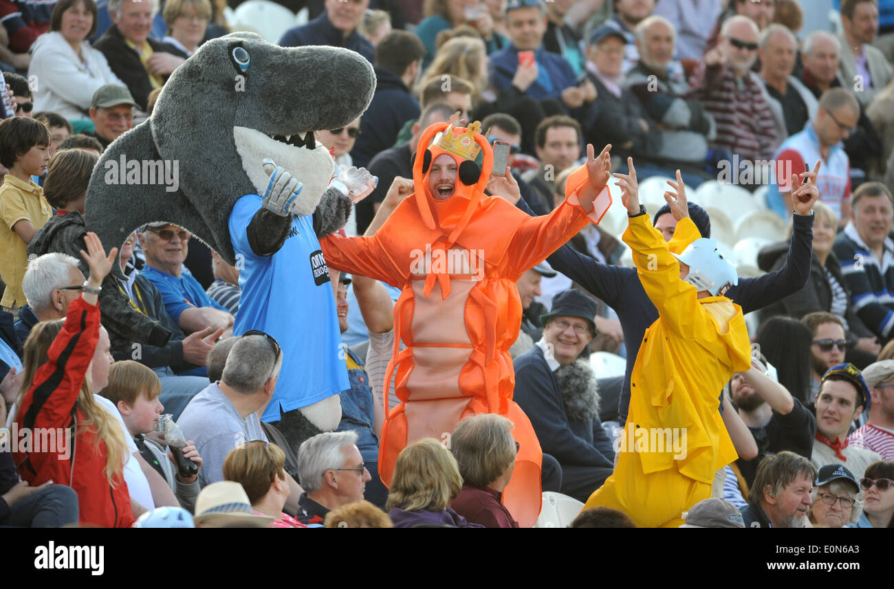 Surrey Sussex Sharks v T20 Blast match de cricket Hove une grande rencontre de crevettes Sid le Shark Le Sussex Mascot Banque D'Images