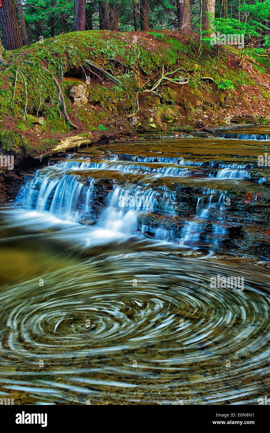 Les eaux tourbillonnantes d'un petit ruisseau dans New York Colden Banque D'Images