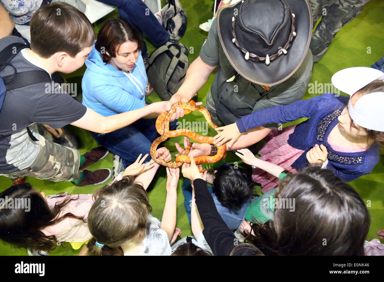 Londres, Royaume-Uni. 17 mai 2014. Joe Crocodile montre aux enfants comment manipuler les serpents à la London Pet Show, Earls Court, Londres. Crédit : Paul Brown/Alamy Live News Banque D'Images