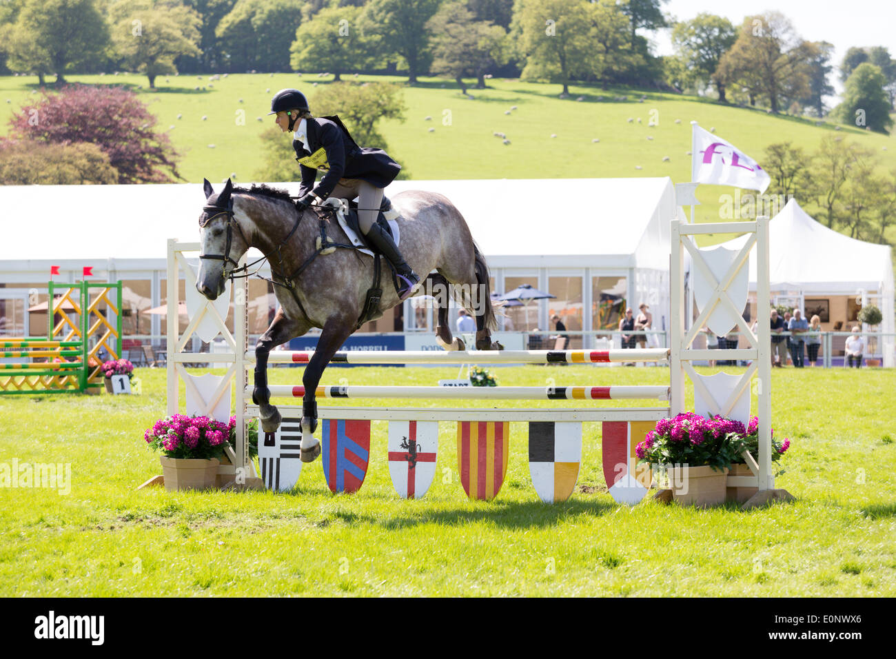‎Chatsworth, Bakewell, Derbyshire, Royaume-Uni. 17 mai, 2014. Laura Fredericks (AUS) équitation Cos je vais au cours de l'article Novice D Voir sauter dans l'arène principale à Chatsworth International Horse Trials : Tout crédit4 Photographie/Alamy Live News Banque D'Images