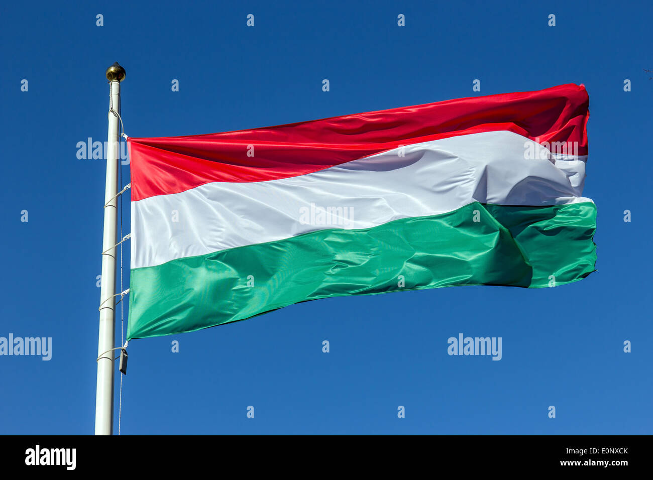 De brandir le drapeau de la Hongrie sur le vent Banque D'Images