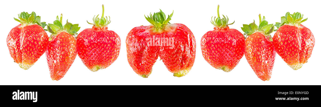 Les fraises fraîches, bannière panoramique Les Fruits Banque D'Images