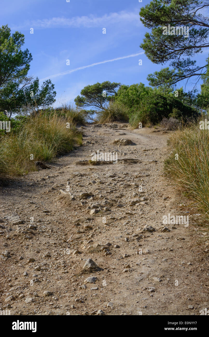 Route de campagne étroite et ciel bleu. (Petite libellule juste en dessous de la traînée de vapeur plus bas à gauche dans l'image.) Banque D'Images