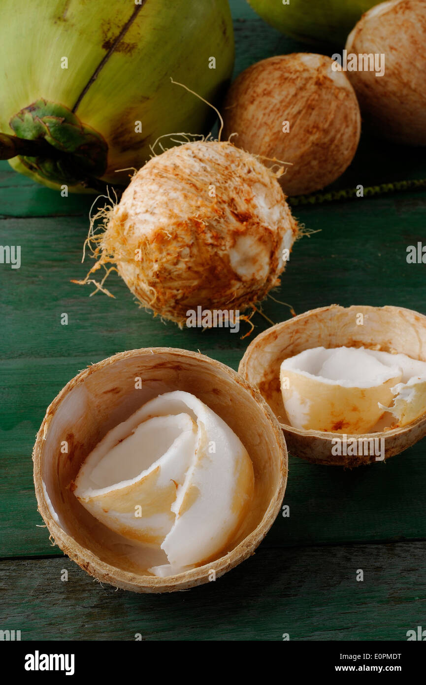Chair de noix de coco de la noix de coco jeunes frais Banque D'Images
