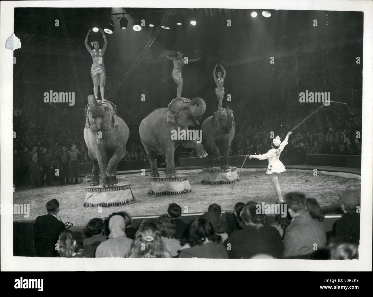 Le 12 décembre 1957 - Noël à répéter pour l'Olympia Circus. La Doreen Duggan éléphants. La photo montre la vue générale de l'anneau - comme Doreen Duggan répète son spectacle les éléphants pendant la répétition ce matin de la Bertram Mills Circus de Noël. Banque D'Images
