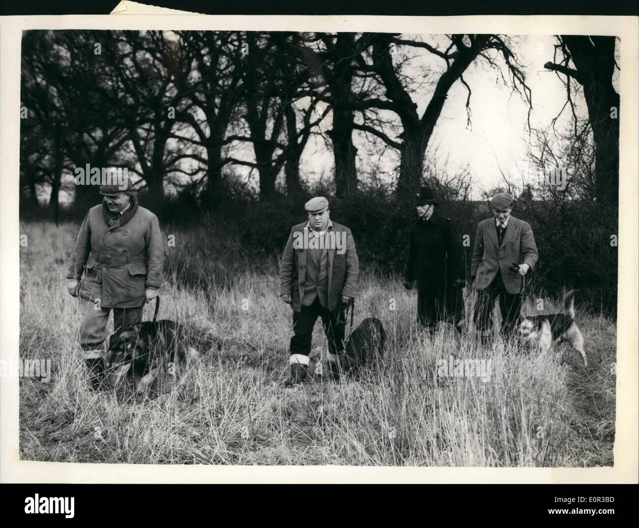 01 janv., 1958 - Nouvelle recherche de missing girl. Une nouvelle recherche dont cinquante policiers assistés par des bénévoles civils participent, a commencé aujourd'hui à 17 ans, de la Santé, Ann Knoblett Cottages, Wheathampstead, Herts, qui disparut le lundi en revenant d'une classe de danse. La photo montre la Police manutentionnaires et leurs chiens rechercher à proximité de la zone de la maison de la jeune fille d'aujourd'hui. Banque D'Images