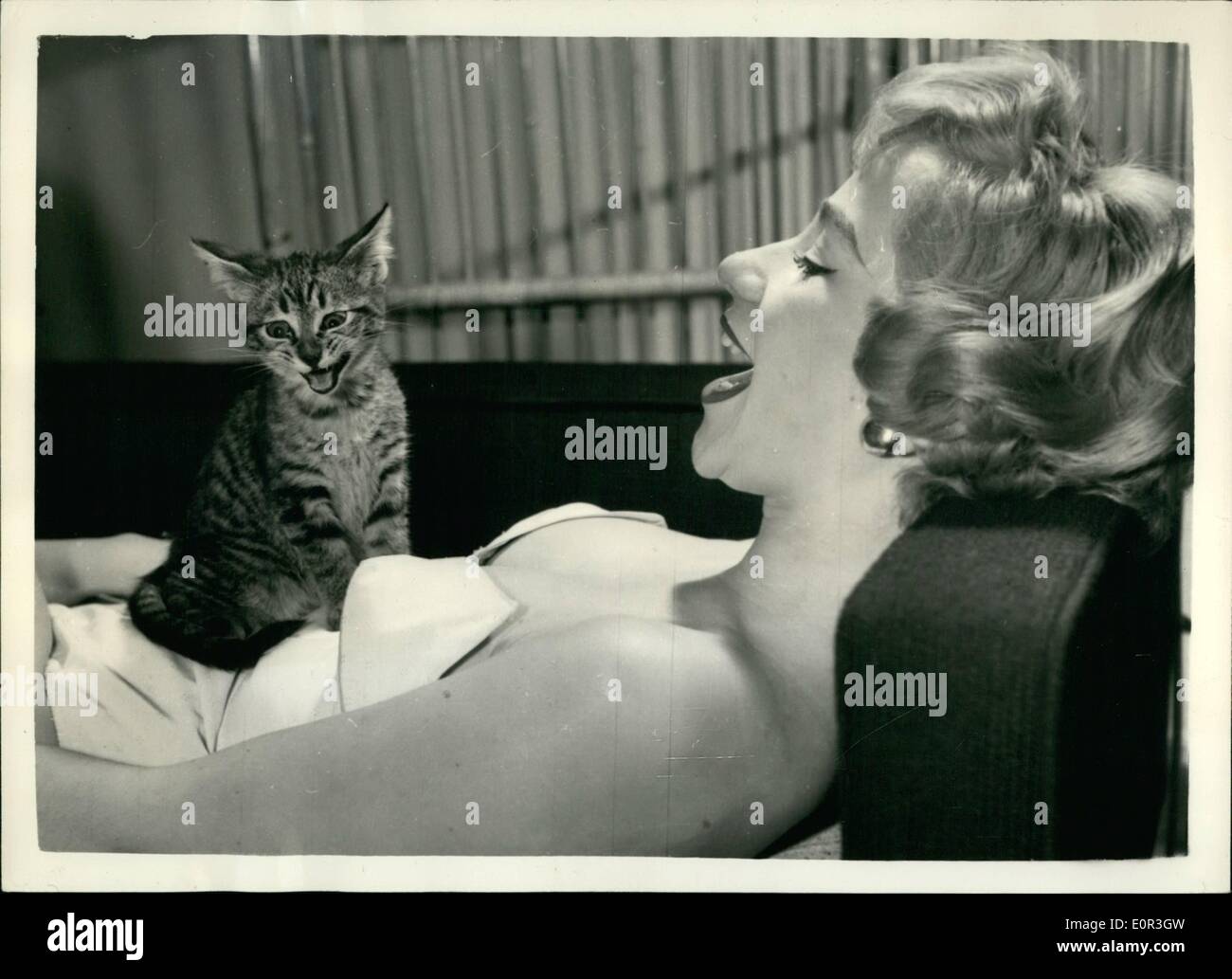 Novembre 11, 1957 - assez pour faire rire d'un chaton. Jolie Jeune femme froll Hambourg.. Vit maintenant en Angleterre.. L'un des plus recherchés après les modèles photographiques dans ce pays aujourd'hui - est belle Heidi Erich - ici avec une très heureuse à chaton. Heidi sont venus en Angleterre il y a deux ans à partir de Hambourg - et maintenant à l'âge de 21 ans a épousé un Anglais dto - et a déjà participé à plusieurs reprises à la télévision. Elle est également très friands de natation et d'un pendant les vacances - elle a fait feu sur un requin sous l'eau, avec un canon à harpon. Banque D'Images