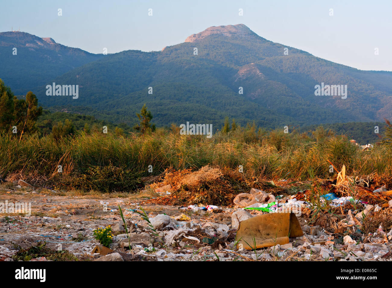 Flytipping illégale dans la campagne Banque D'Images