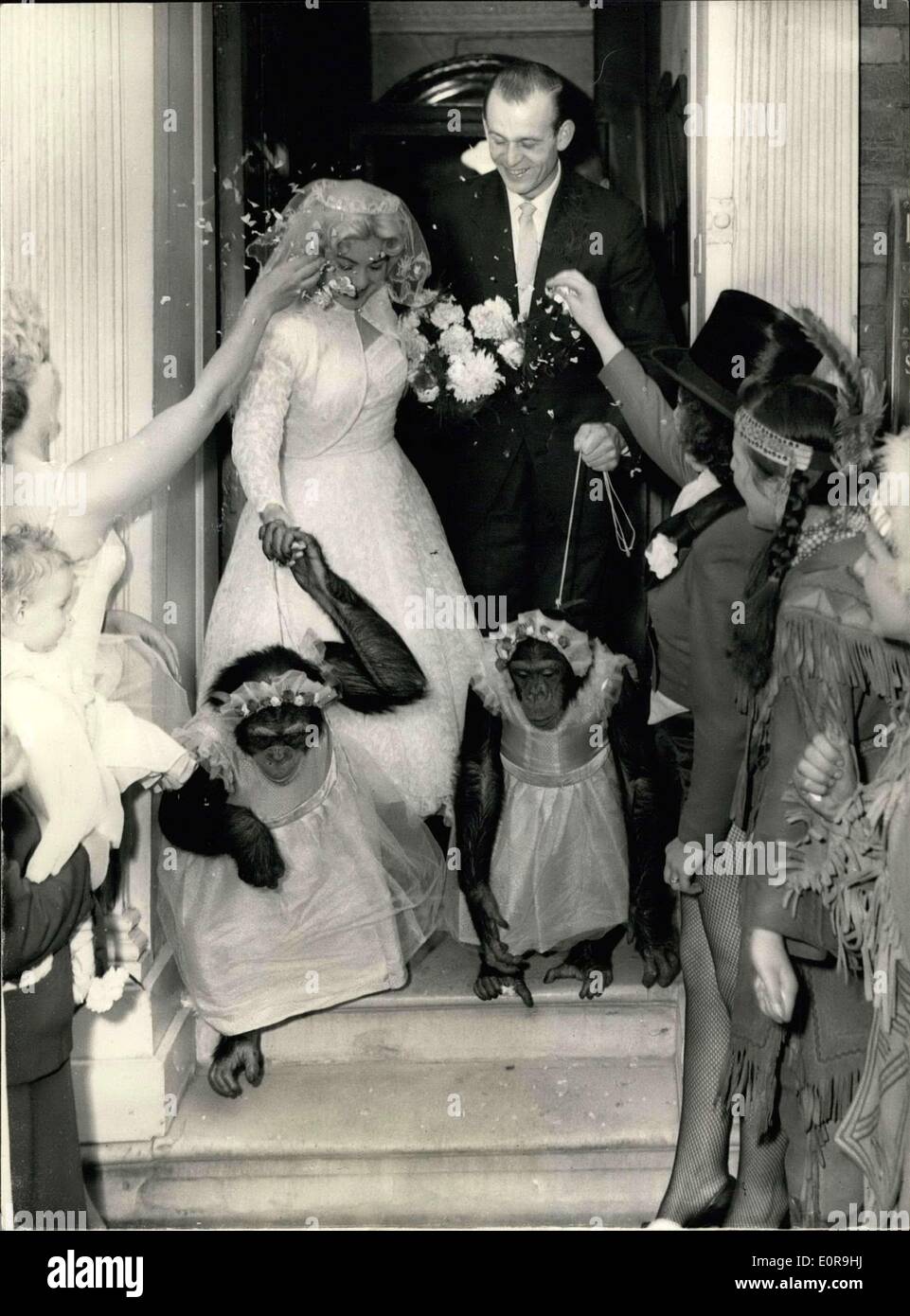 15 octobre 1958 - les chimpanzés comme demoiselles au Circus - Mariage : le mariage a lieu cet après-midi au bureau de Windsor s'inscrire Marion Clark, lion de mer bord Billy Smart Circus... Deux des chimpanzés du cirque a pris le rôle de ''Demoiselles''. Photo montre les mariés de quitter l'Office entouré par d'autres artistes de cirque - et les deux demoiselles d' ''inhabituelle Banque D'Images