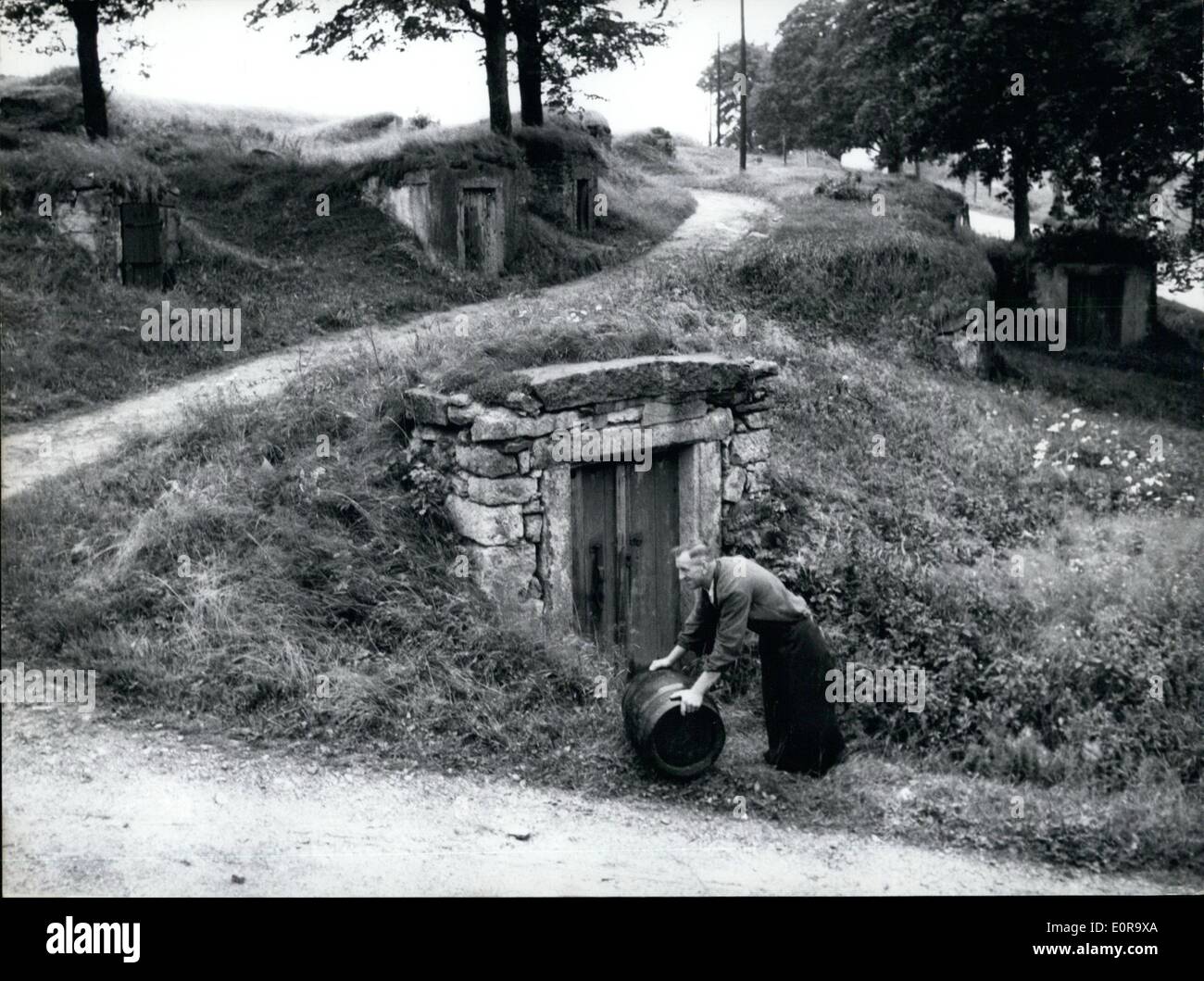 Novembre 11, 1958 - ''une cave à bière pour tout le monde'' : semble être le mobile de la ville de Weissenstadt/Fichtelgebirge. Que les citoyens et les agriculteurs toujours brasser leur propre bière ils devaient chercher des endroits appropriés où ils pourraient conserver le précieux liquide. Le problème a été résolu très ingénieusement : une montagne a été tissés entre par petits tunnels comme un labyrinthe. Chaque tunnel est d'environ 10 mètres de profondeur et a son propriétaire. La bière est resté là pendant l'été et l'hiver à température constante, entre 6 et 8 degrés Celsius. Photo montre le ''Kellerberg'' qui semble couvert avec molehill. Banque D'Images