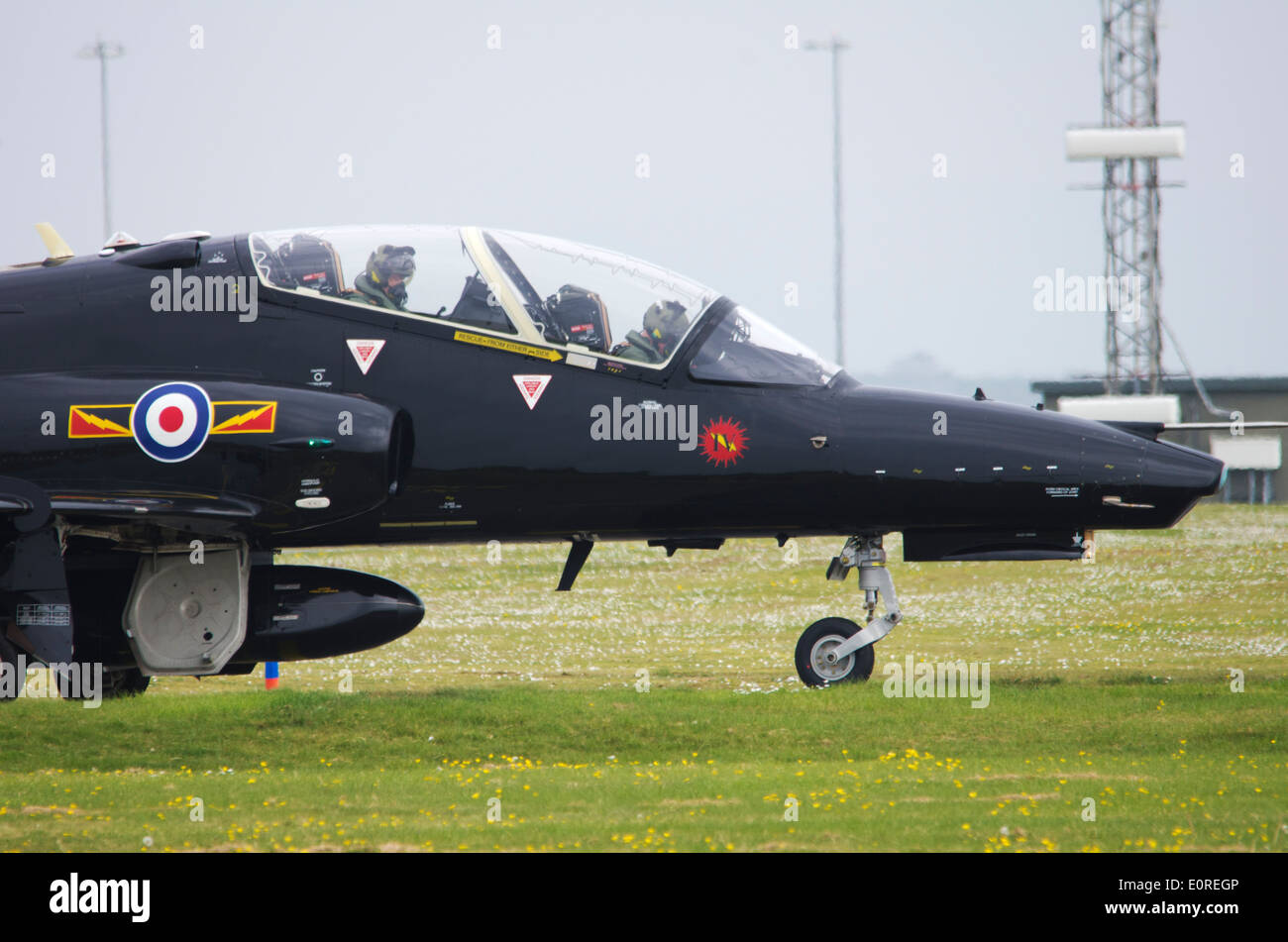 Un faucon au roulage RAF Valley. Banque D'Images