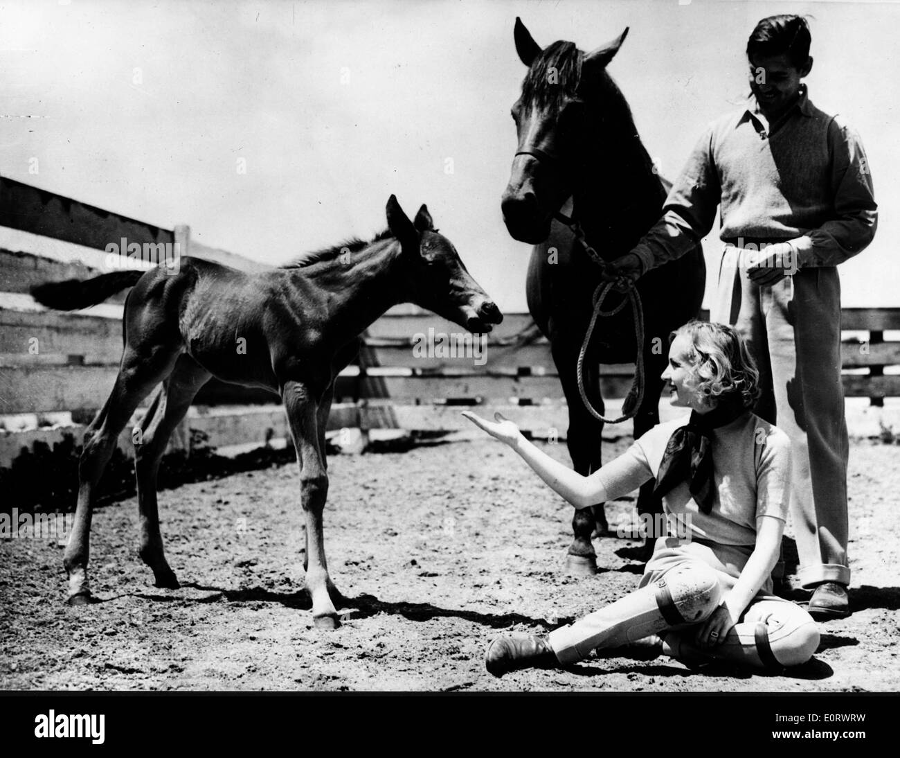 L'acteur Clark Gable avec une femme et deux chevaux Banque D'Images