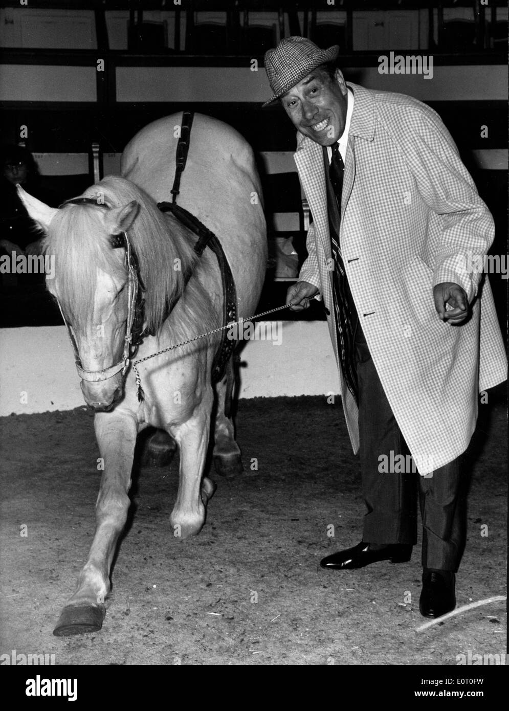 Formation acteur Fernandel un cheval Banque D'Images