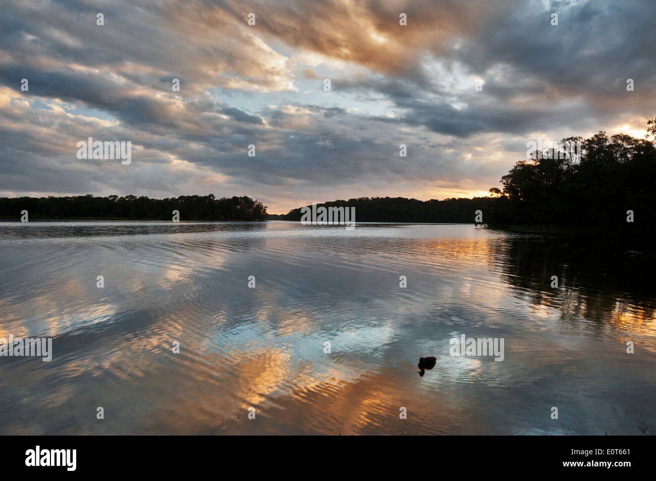 Réflexions au coucher du soleil sur le lac Myall. Banque D'Images