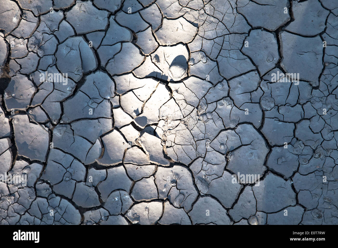Dürre, ausgetrockneter Boden - un sol sec. Banque D'Images