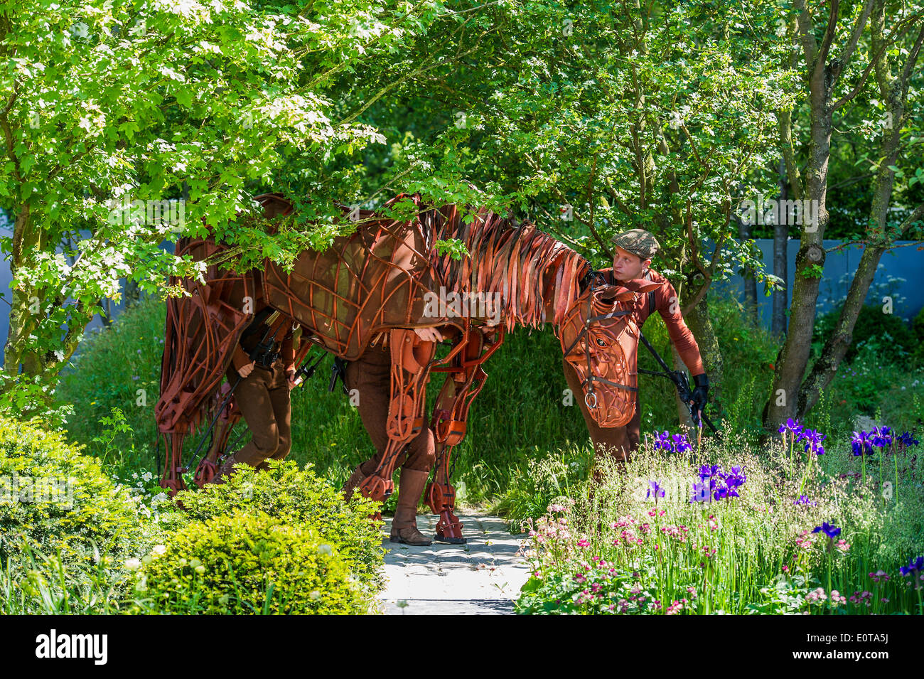 Joey le Cheval de Guerre sur le No Man's Land:ABF le soldat le jardin. La Chelsea Flower Show 2014. Le Royal Hospital, Chelsea, London, UK. 19 mai 2014. Banque D'Images