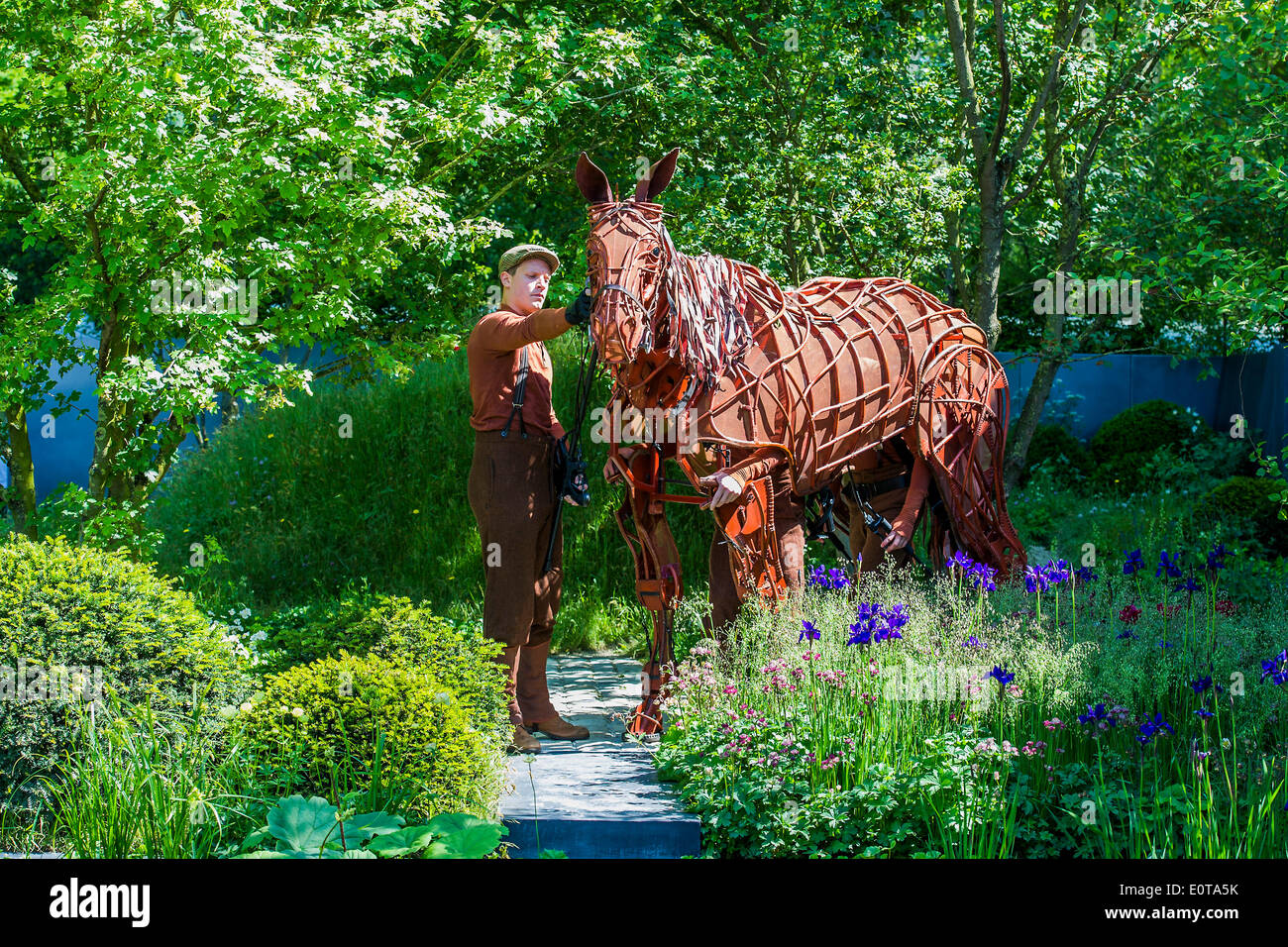 Joey le Cheval de Guerre sur le No Man's Land:ABF le soldat le jardin. La Chelsea Flower Show 2014. Le Royal Hospital, Chelsea, London, UK. 19 mai 2014. Banque D'Images