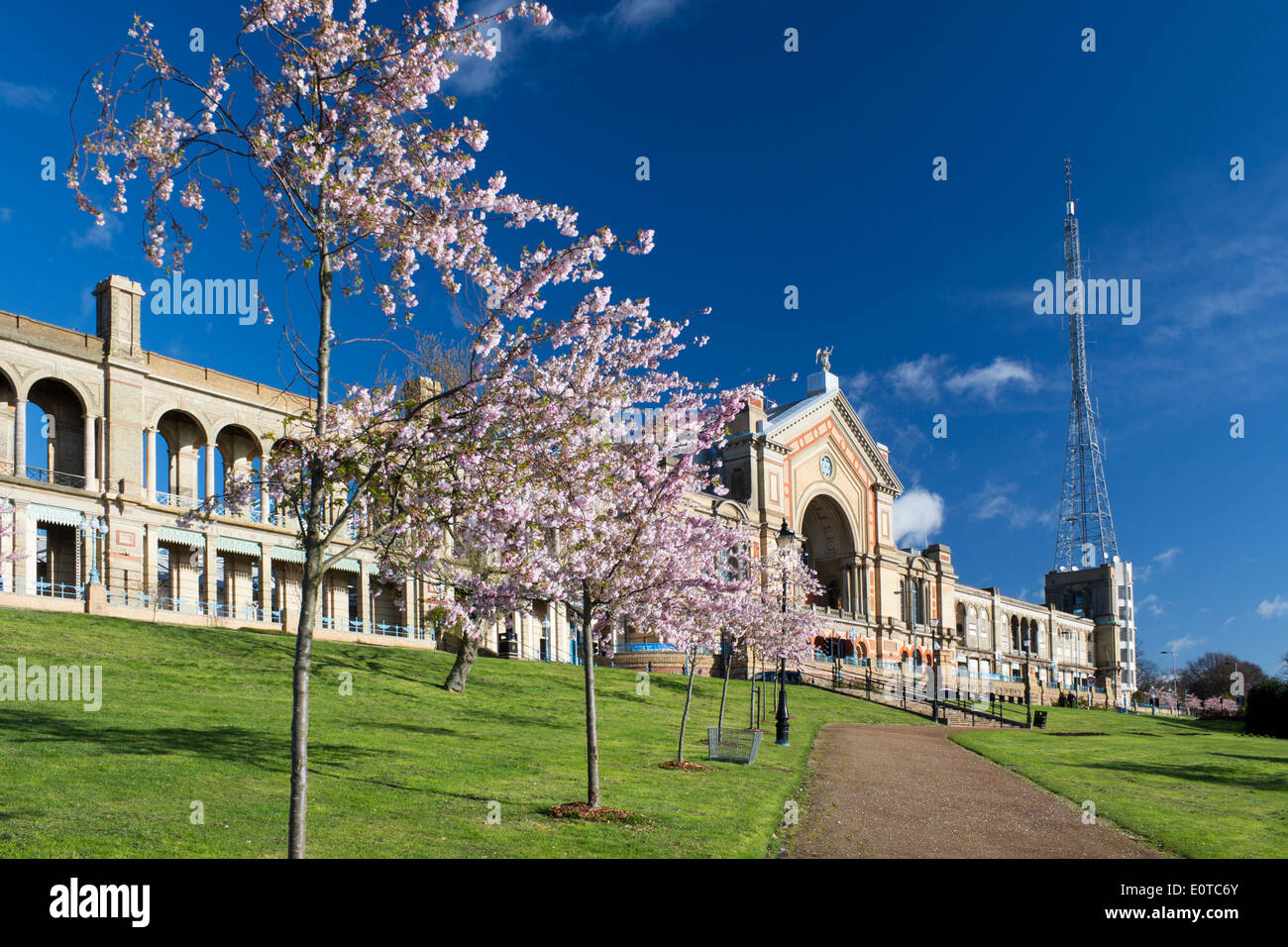 Alexandra Palace vue extérieure au printemps avec des fleurs roses sur les arbres Haringey Muswell Hill North London England UK Banque D'Images