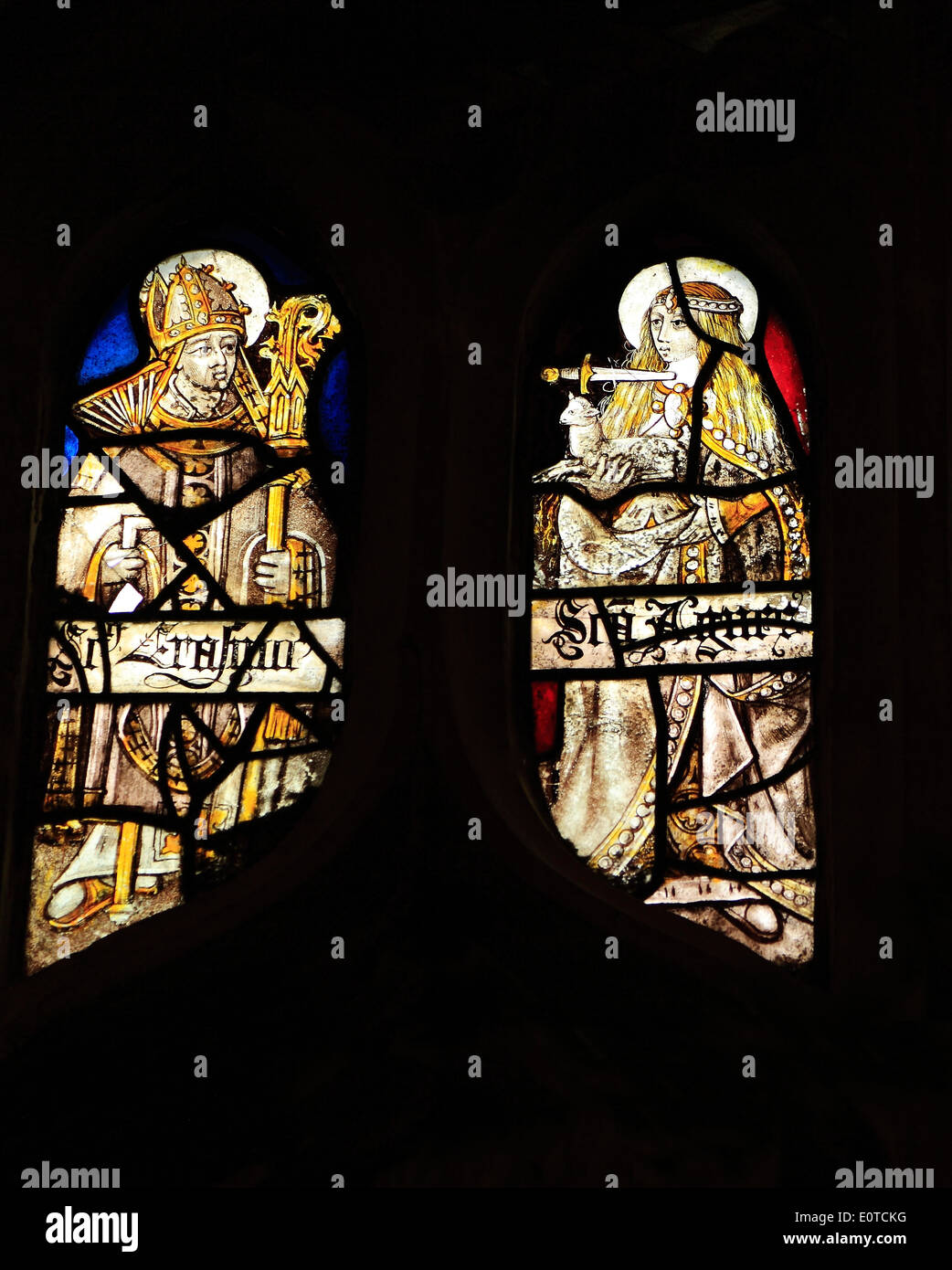 Vitraux médiévaux, Saint Erasme, évêque de Formia, St Agnes avec poignard à la gorge, tenant un agneau, Sandringham Parish Banque D'Images