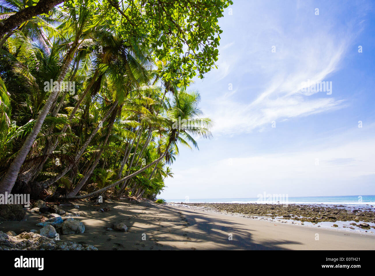 Plage du Pacifique et la forêt tropicale maritime bordant le parc national Corcovado sur la péninsule d'Osa du Costa Rica Banque D'Images