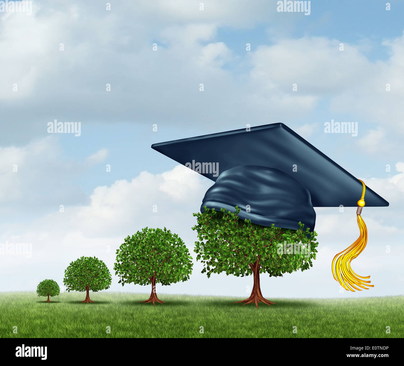 L'obtention du diplôme concept avec un groupe d'arbres d'un petit arbrisseau d'un grand arbre portant un conseil de mortier comme un prix de réalisation de l'éducation pour compléter le cycle d'apprentissage et les étapes d'une carrière future. Banque D'Images