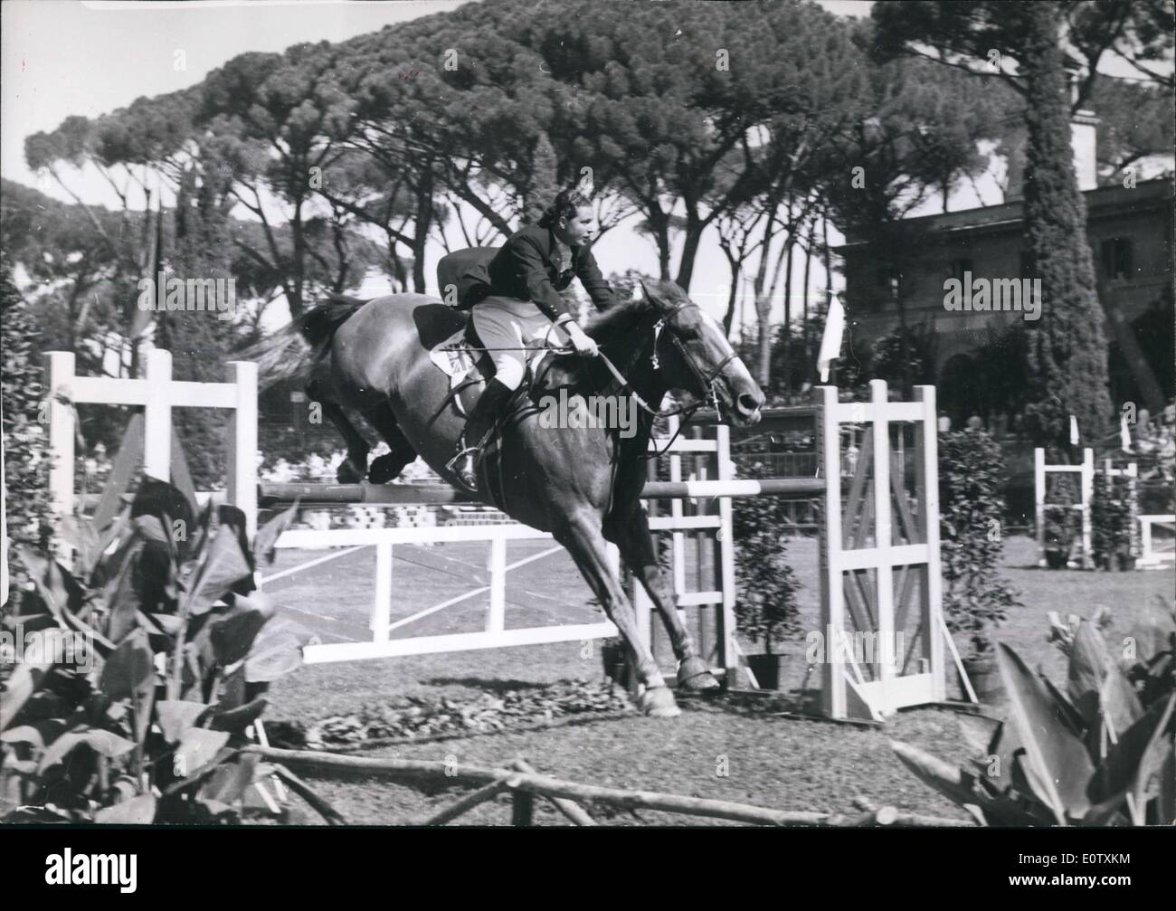 Septembre 07, 1960 - Jeux Olympiques : événements équestres. Photo montre Pat Smythe G.B. pendant le Grand Prix de saut d'obstacles à Piaza di Sienn Banque D'Images