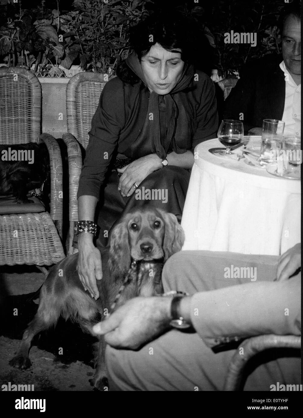 Anna Magnani mange sur la Via Veneto avec chien Banque D'Images