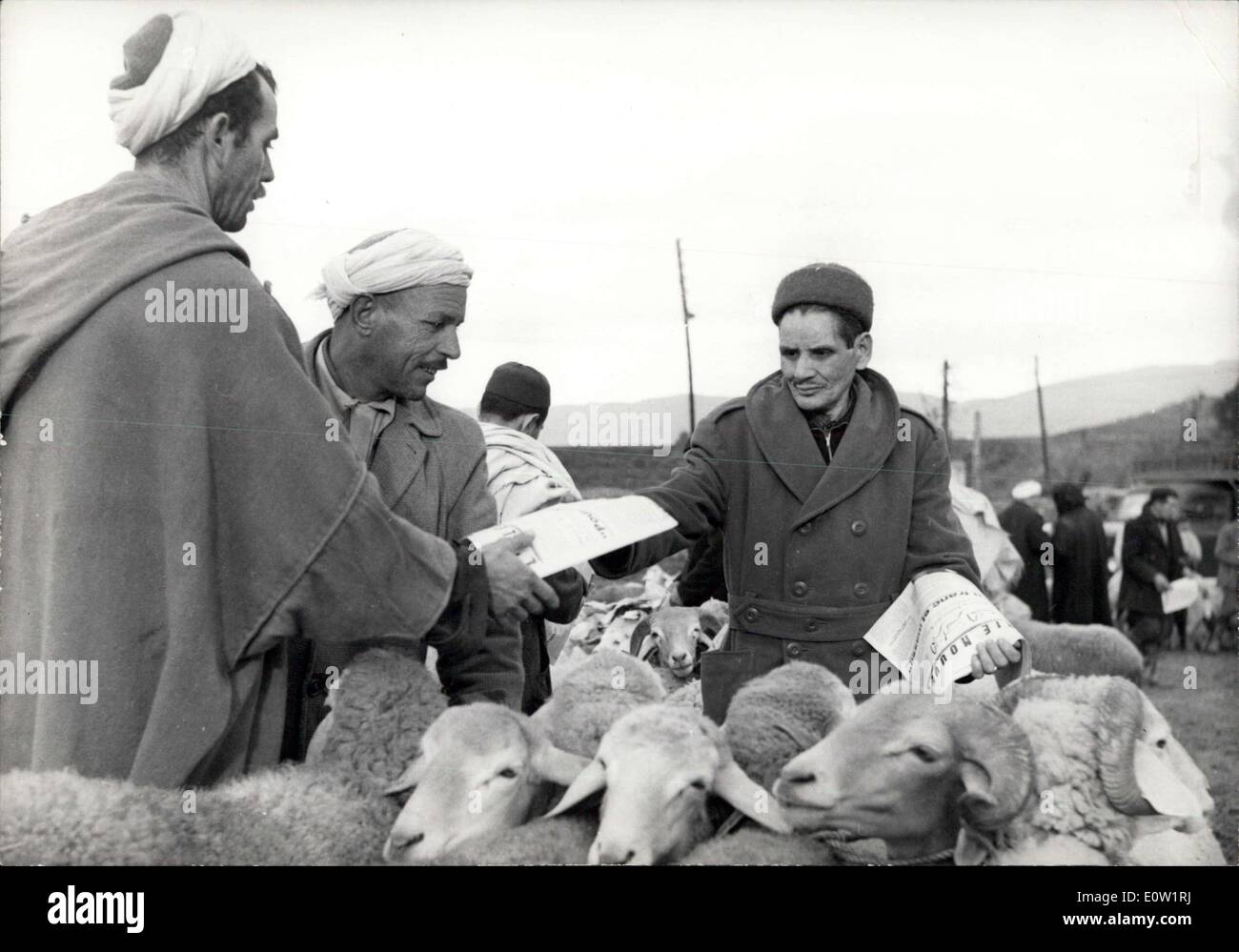 02 janvier 1961 - Vote ?OUI ? Dire des tracts. OPS : des tracts appelant la population autochtone pour répondre ?OUI ? Pour de Gaulle ?s d'un référendum sur l'Algérie sont distribuées sur le marché à Tizi-Ouzou en Kabylie. 2ème/6101 Janv. Banque D'Images