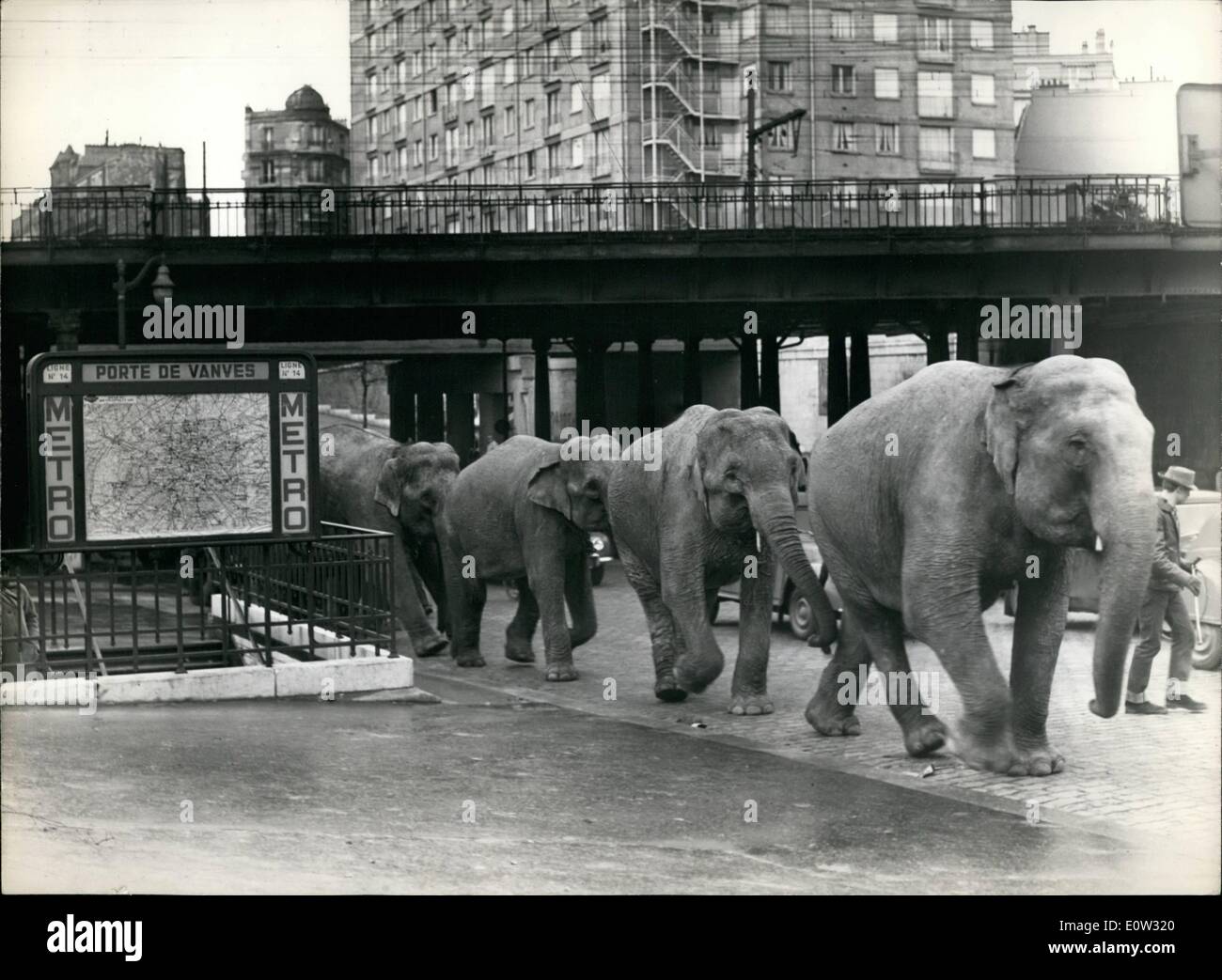 01 janvier 1961 - Retour aux quartiers d'hiver : Les éléphants du Cirque d'hiver qui ont été l'exécution dans la banlieue de Paris au cours de Banque D'Images