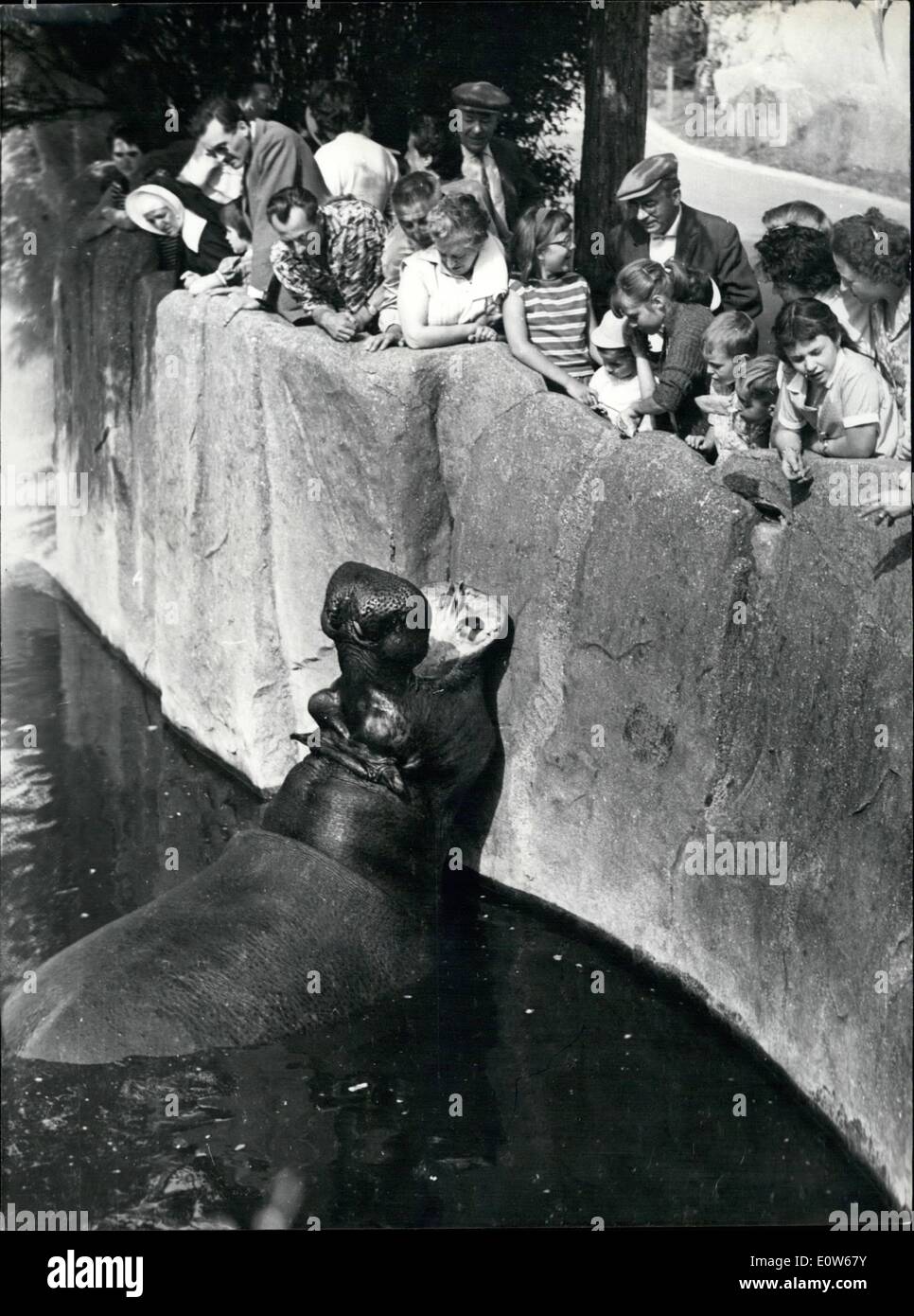 08 août, 1961 - L'été s'enclenche au Zoo : photo montre l'hippopotame du Zoo de Vincennes ouvrir grande sa bouche dans l'attente d'un peu de nourriture fournies par friendly visiteurs. Banque D'Images