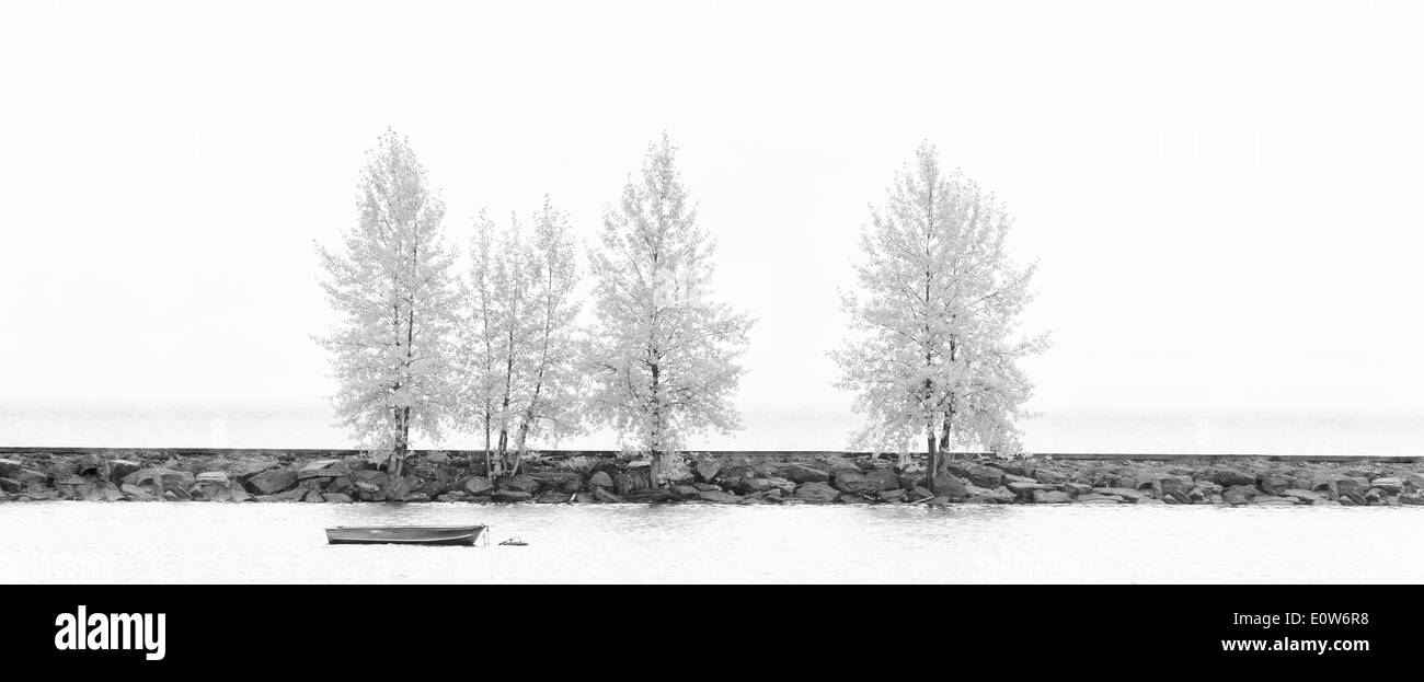 Arbre en noir et blanc d'hiver impression artistique Banque D'Images